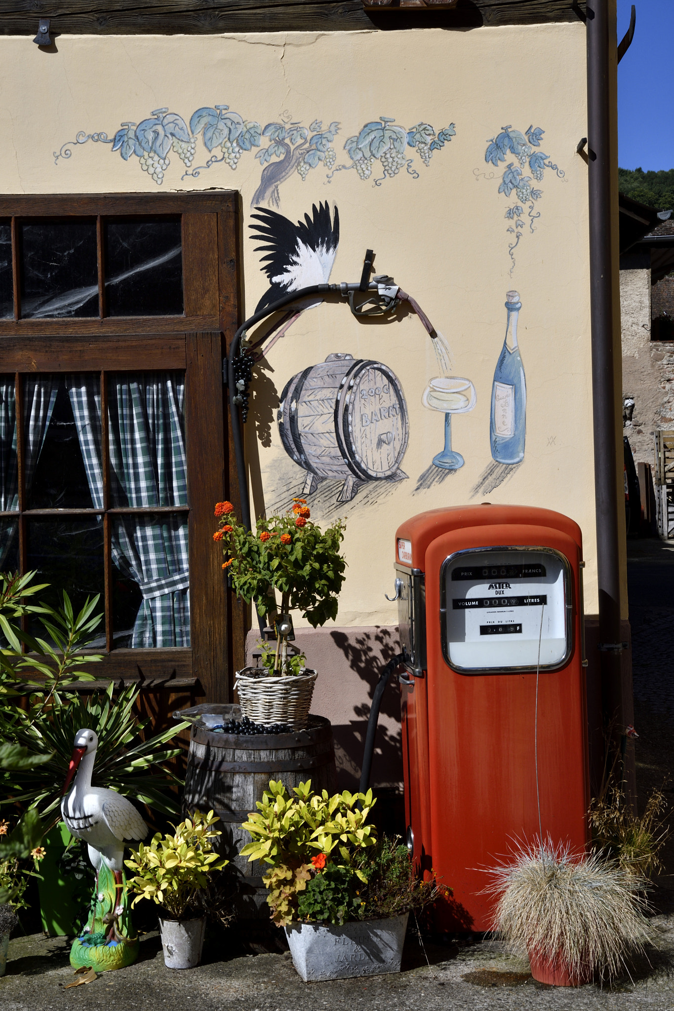 Nikon D500 sample photo. Andlau photography