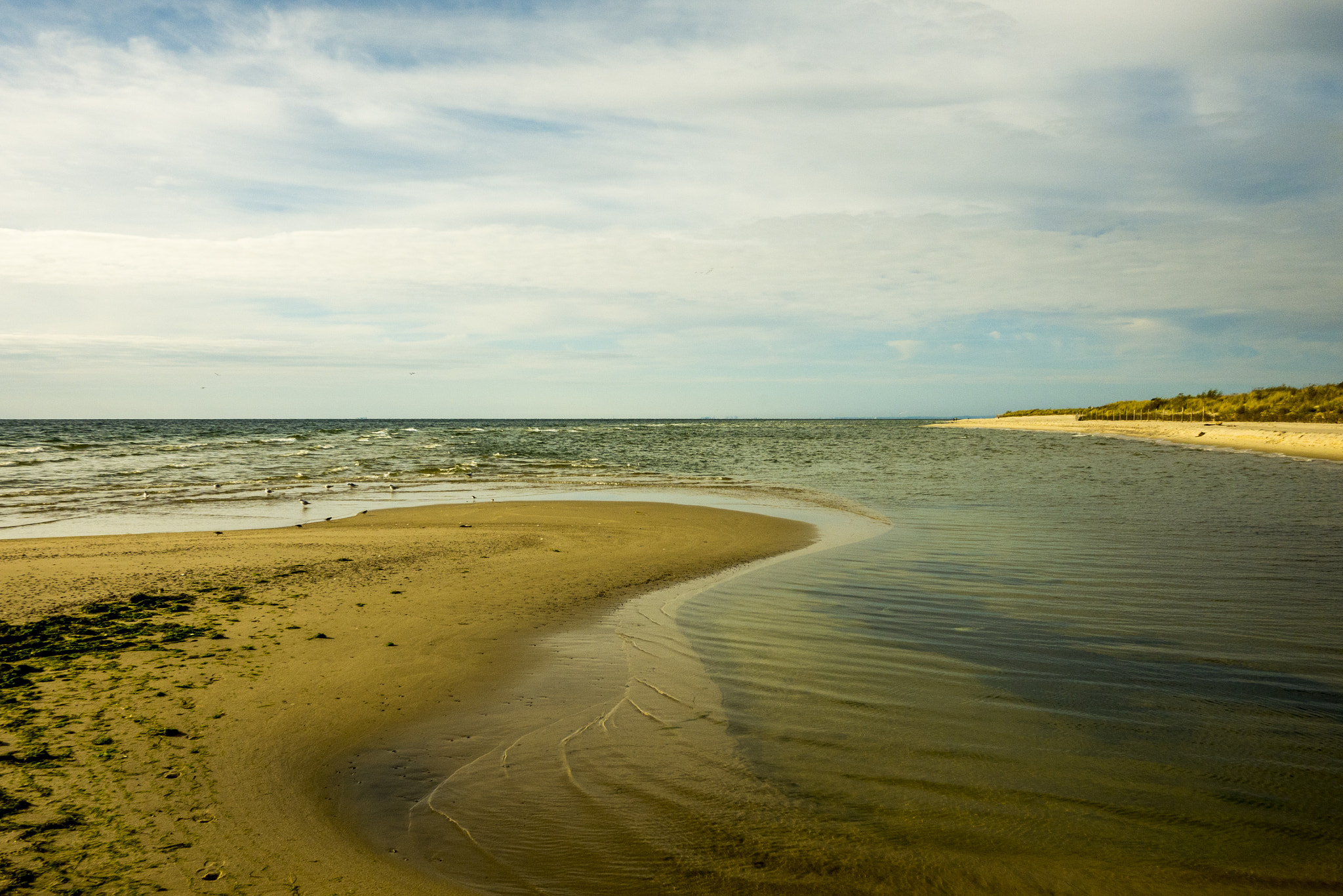 Panasonic Lumix DMC-GX7 + Panasonic Lumix G 14mm F2.5 ASPH sample photo. Baltic sea photography