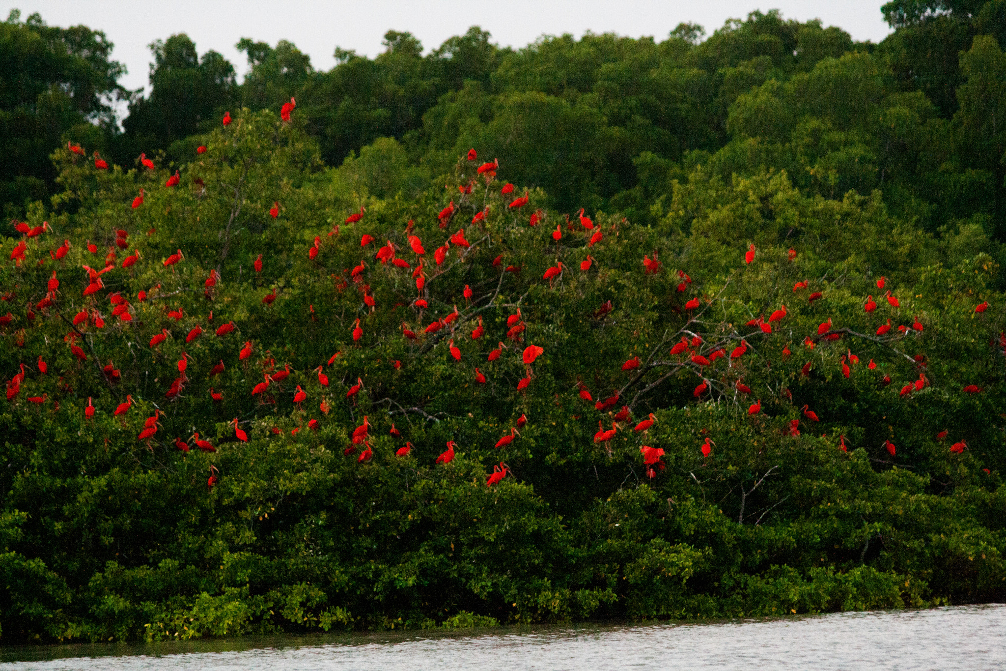 Canon EF 70-300mm F4-5.6 IS USM sample photo