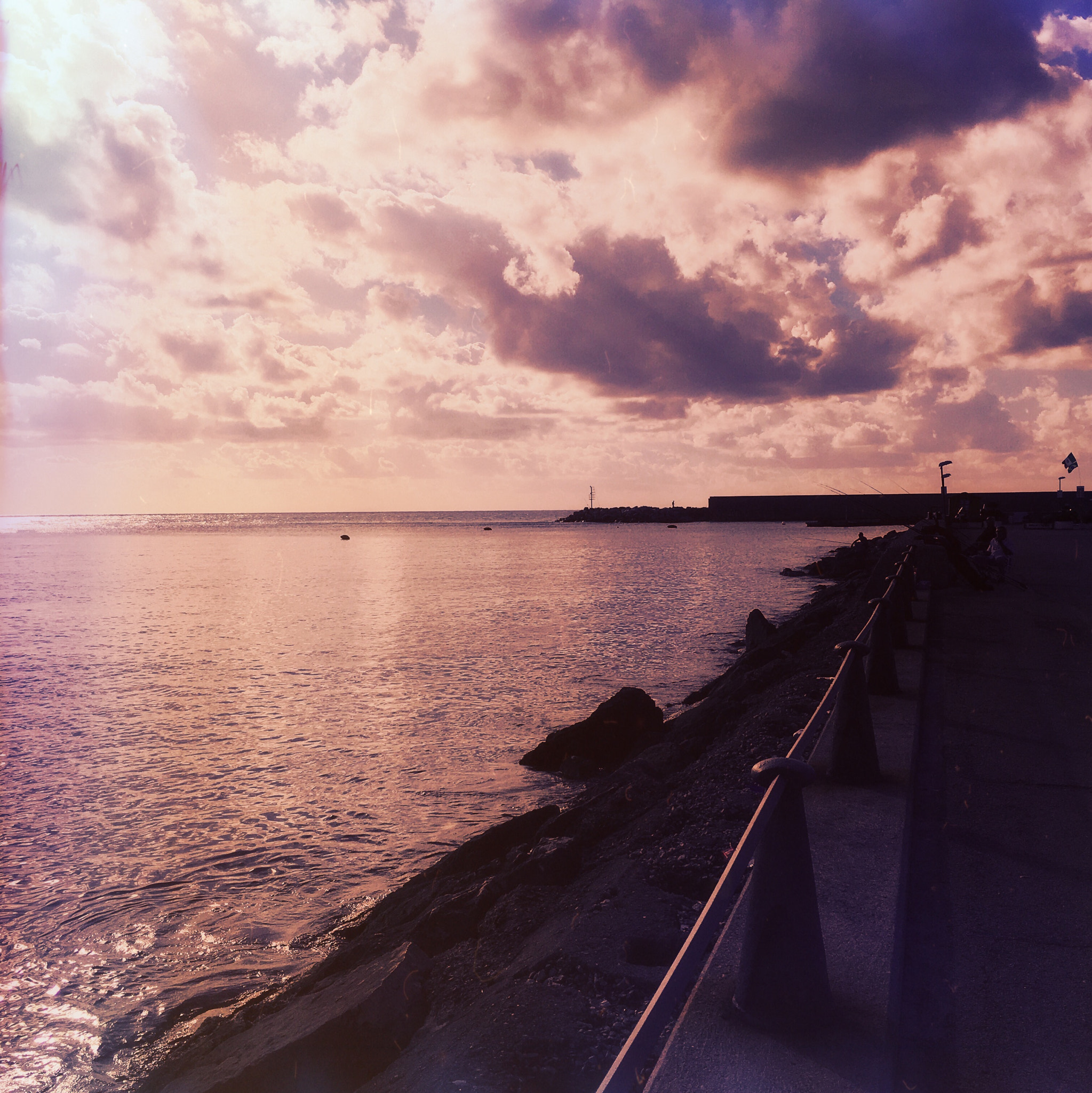 Hipstamatic 321 sample photo. Mypics o photography