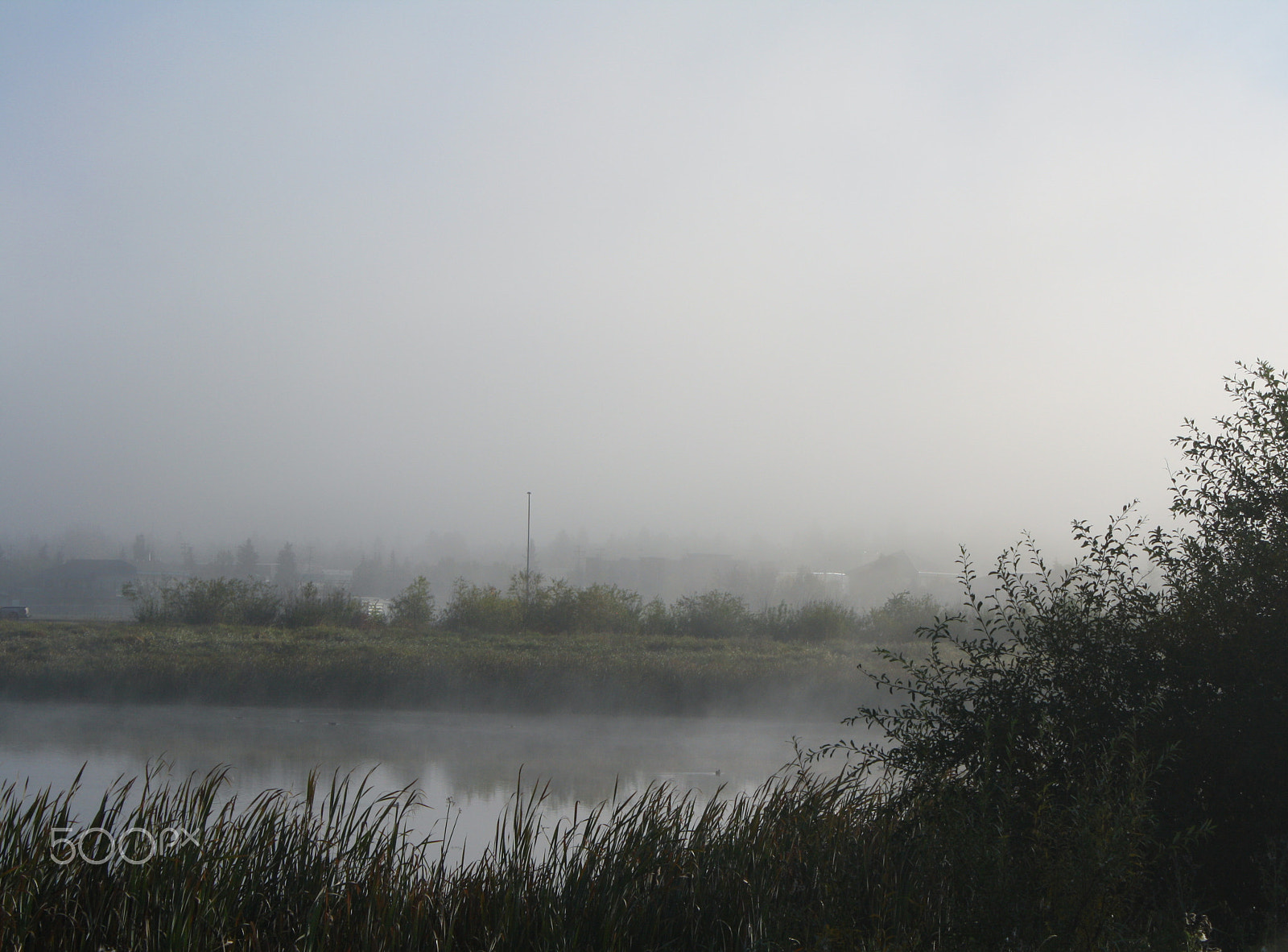 Canon EOS 1000D (EOS Digital Rebel XS / EOS Kiss F) sample photo. Chasing the fog photography