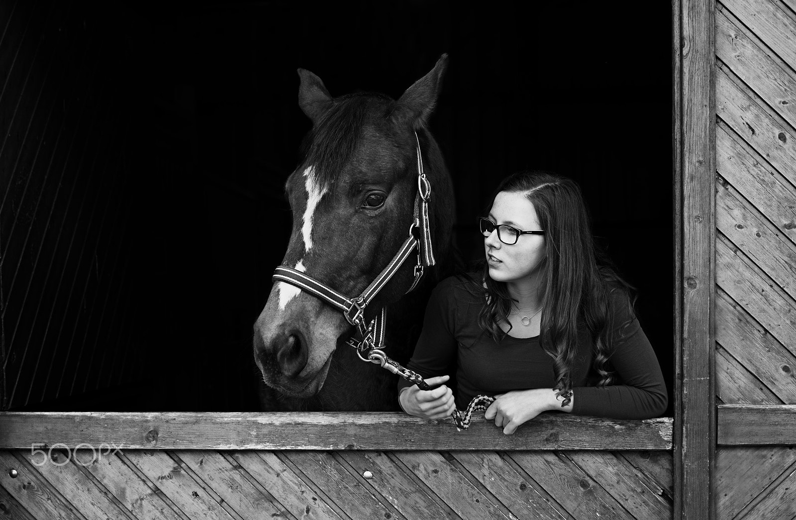Canon EOS 700D (EOS Rebel T5i / EOS Kiss X7i) + Canon EF 40mm F2.8 STM sample photo. Girl and the horse photography