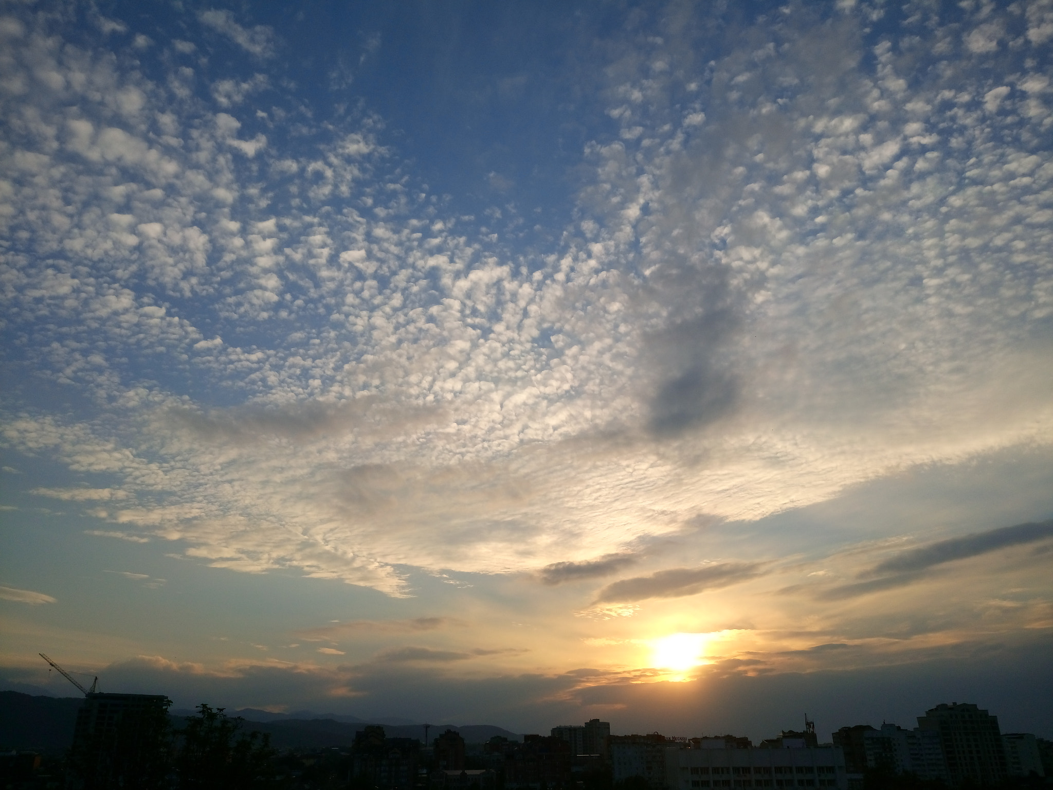 Sony Xperia M5 Dual sample photo