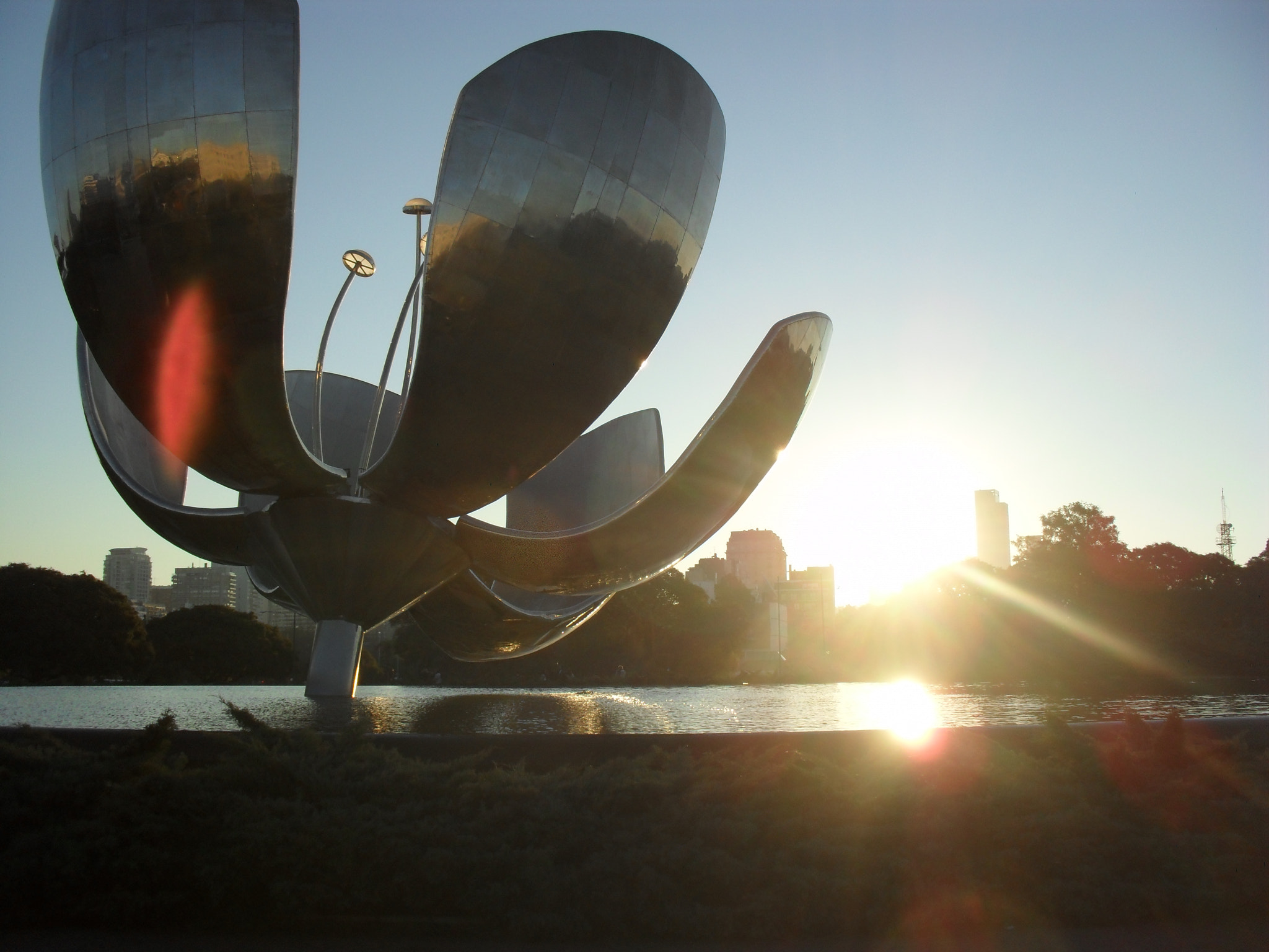 Samsung ES60 / VLUU ES60 /  SL105 /  ES63 sample photo. Flor de acero photography