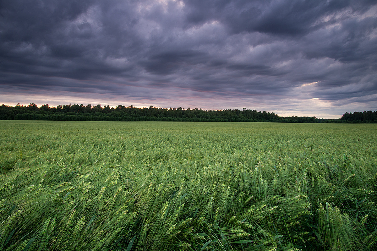 Nikon D4 sample photo. Cloudy photography