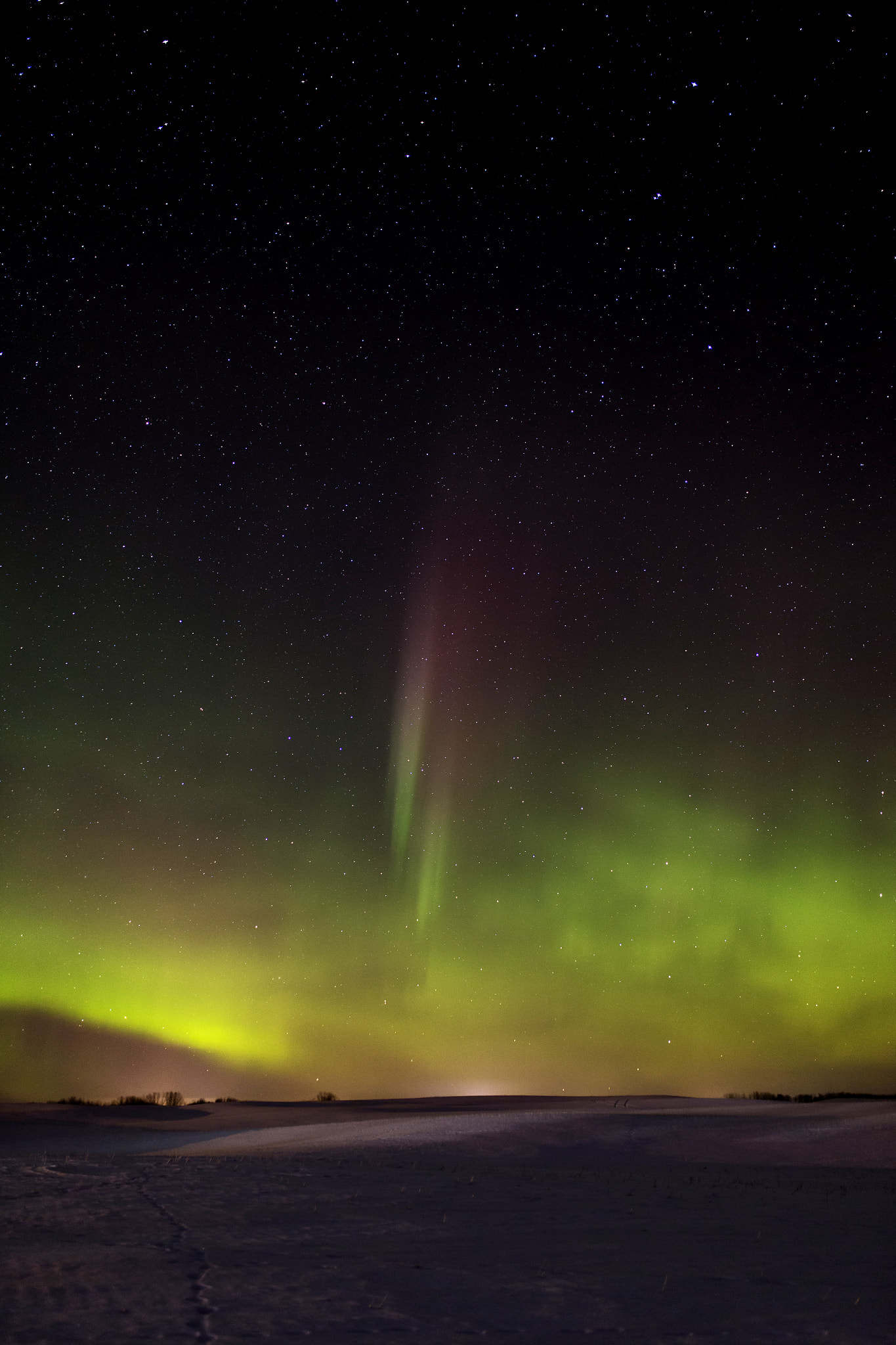 Sigma 35mm F1.4 DG HSM Art sample photo. Northern lights winter photography