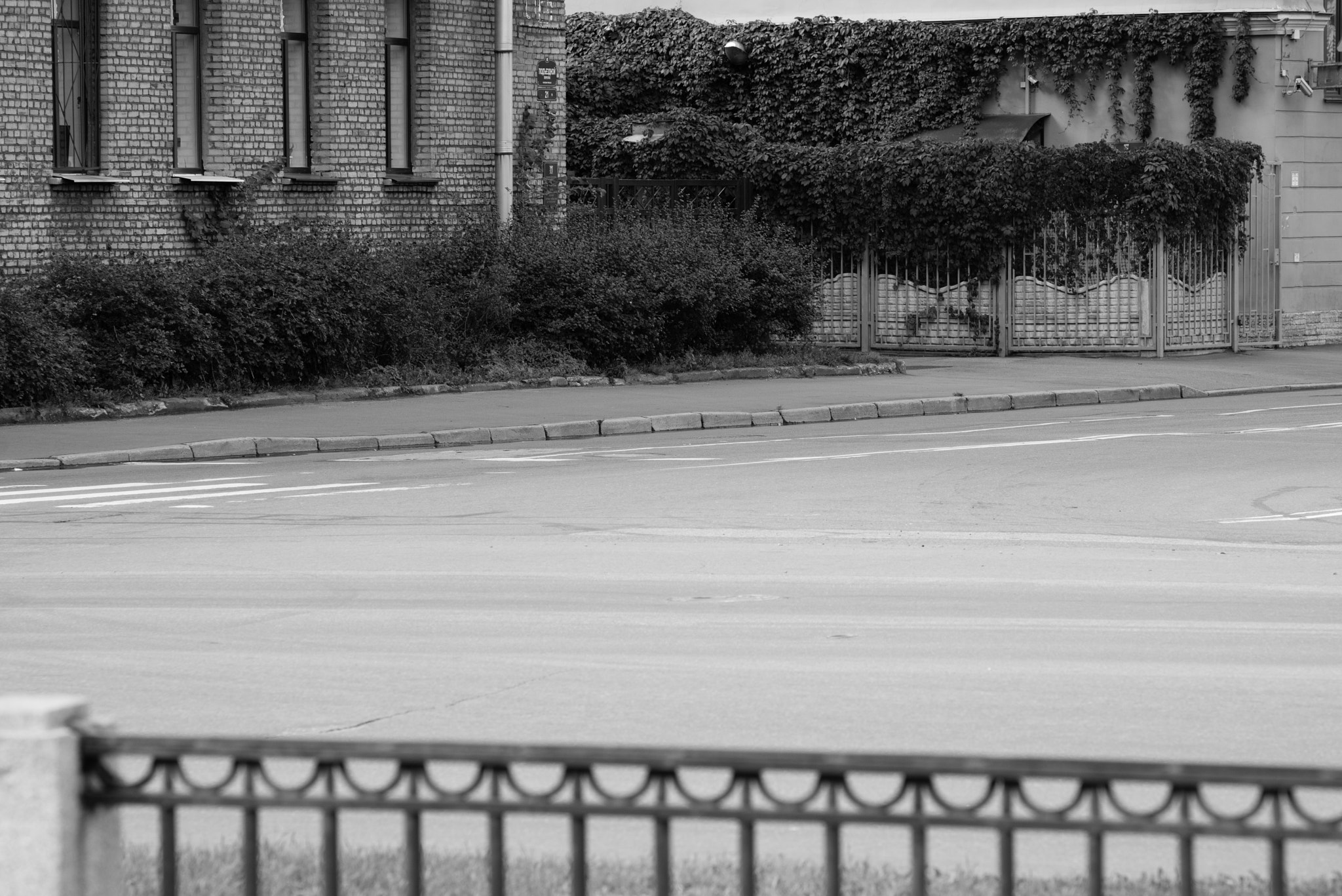 Nikon D800 + AF Nikkor 180mm f/2.8 IF-ED sample photo. * photography