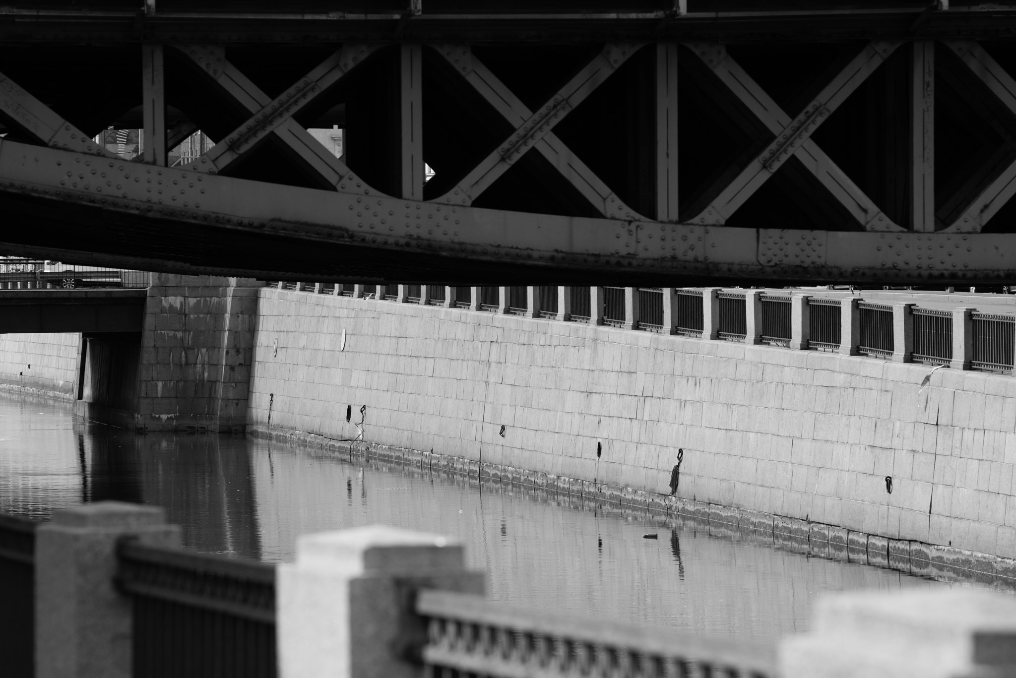 Nikon D800 + AF Nikkor 180mm f/2.8 IF-ED sample photo. * photography