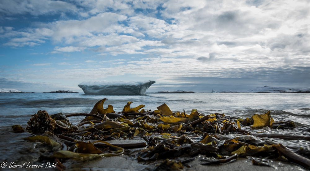 Nikon AF-S Nikkor 18-35mm F3.5-4.5G ED sample photo. Sisimiut beach photography