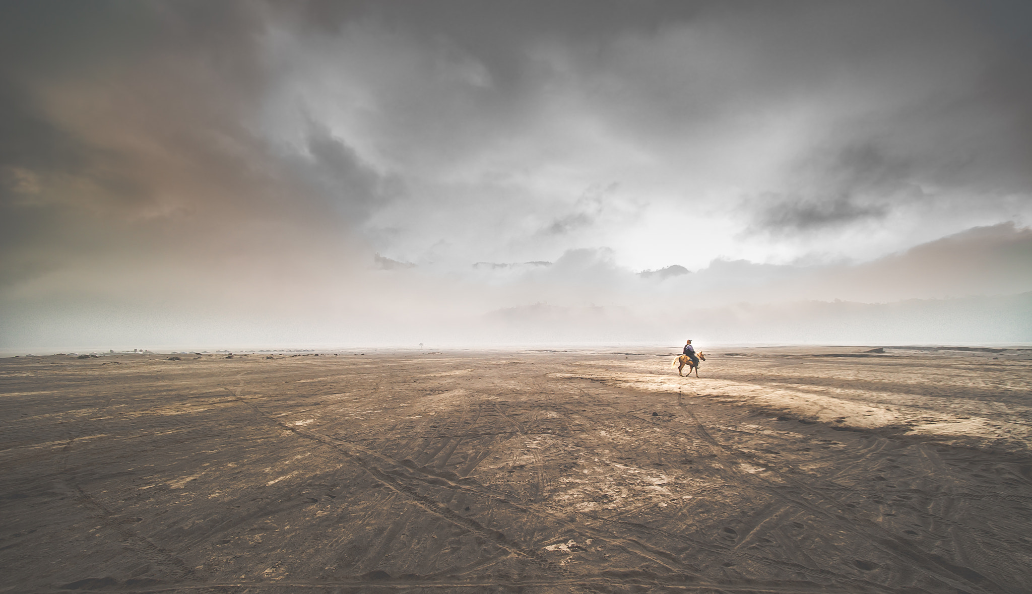 Sony a7S sample photo. Mad max found a horse. photography
