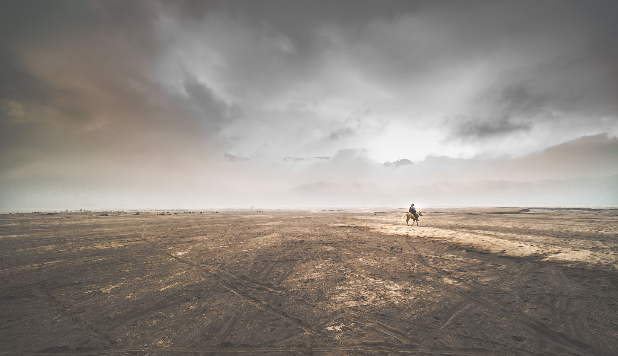 Sony a7S + Minolta AF 17-35mm F2.8-4 (D) sample photo. Mad max found a horse. photography