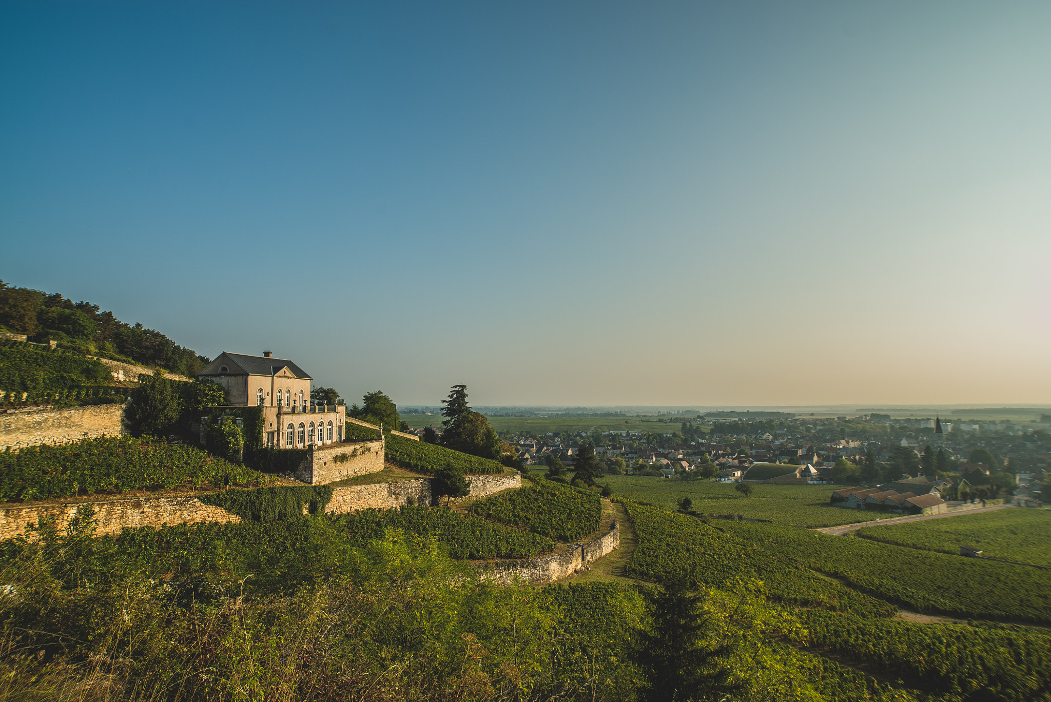 Sony a7S + Sony DT 50mm F1.8 SAM sample photo. Chateau gris - nuits-saint-georges photography