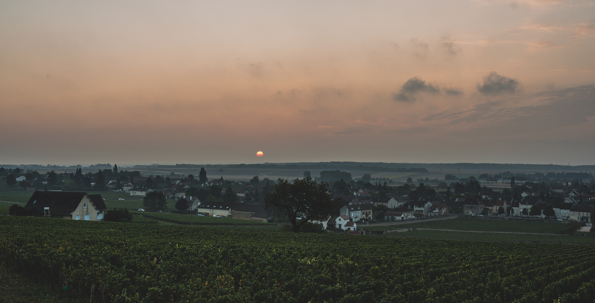 Sony a7S + Sony DT 50mm F1.8 SAM sample photo. Sunset on ladoix-serrigny photography