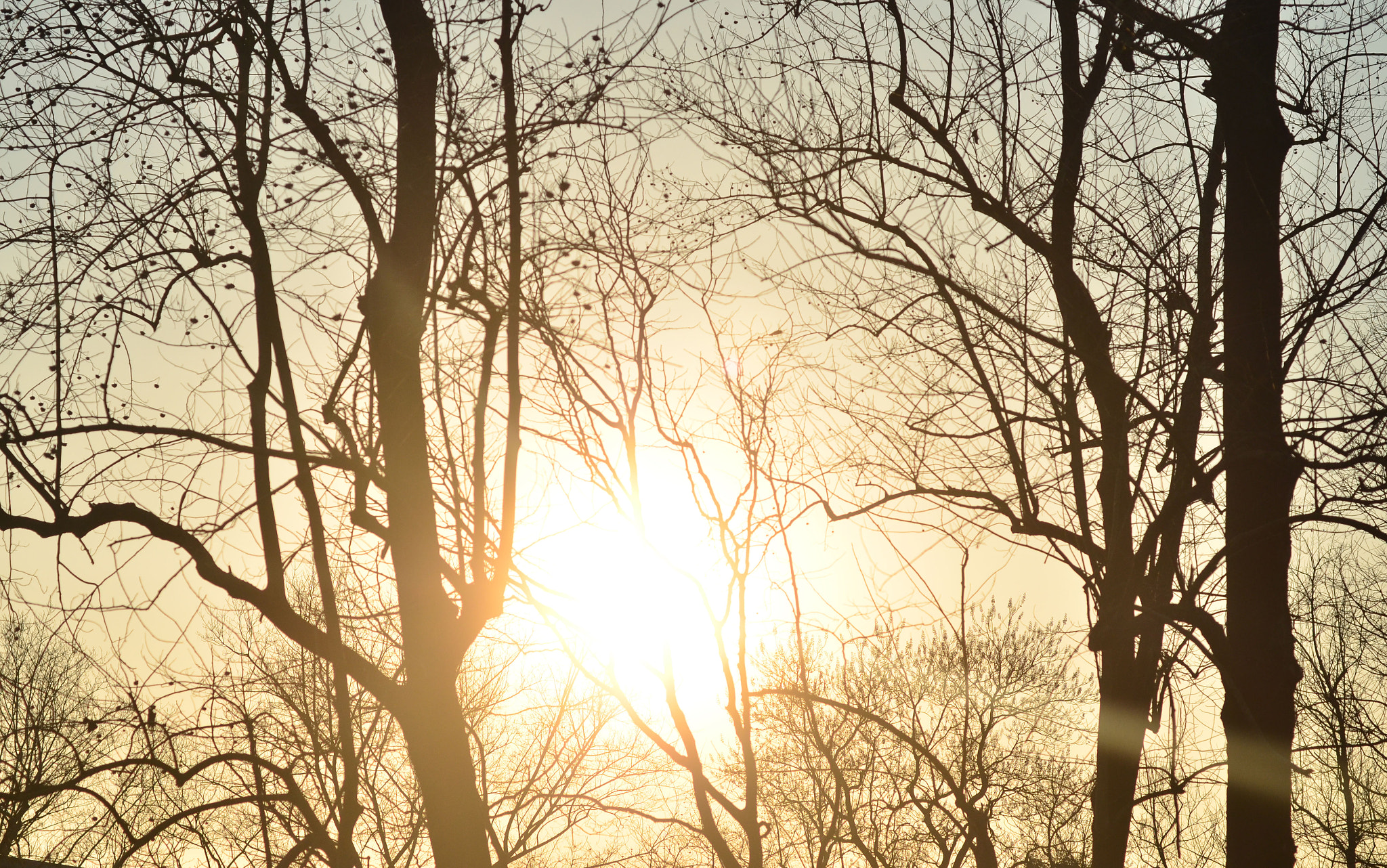 ZEISS Makro-Planar T* 50mm F2 sample photo. My hometown5 photography