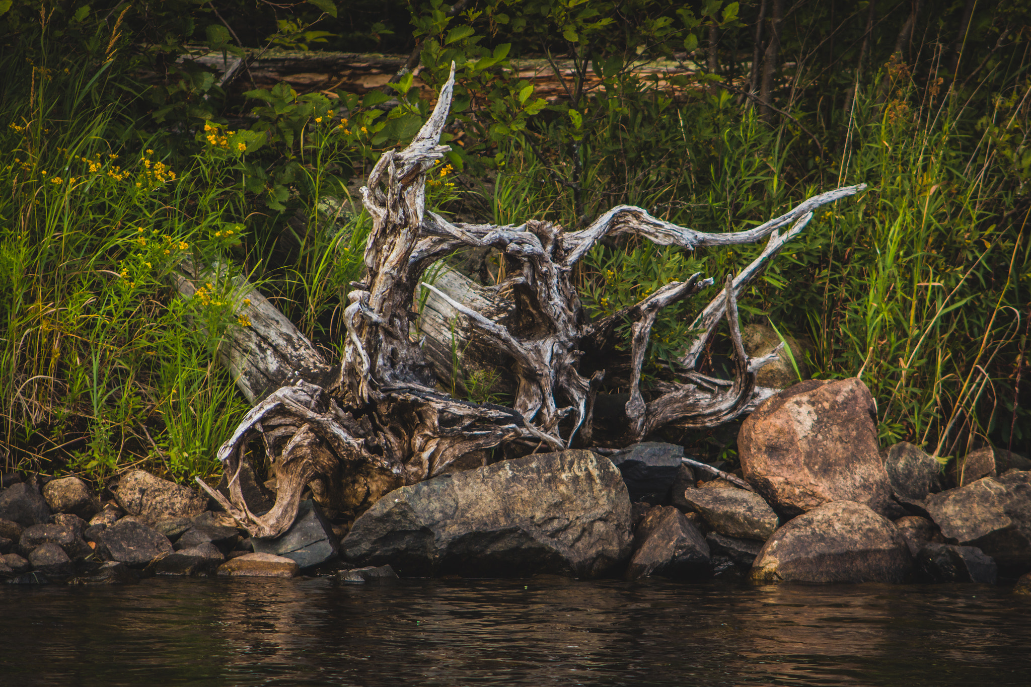 Canon EF 55-200mm F4.5-5.6 II USM sample photo. Fine art by mother nature photography
