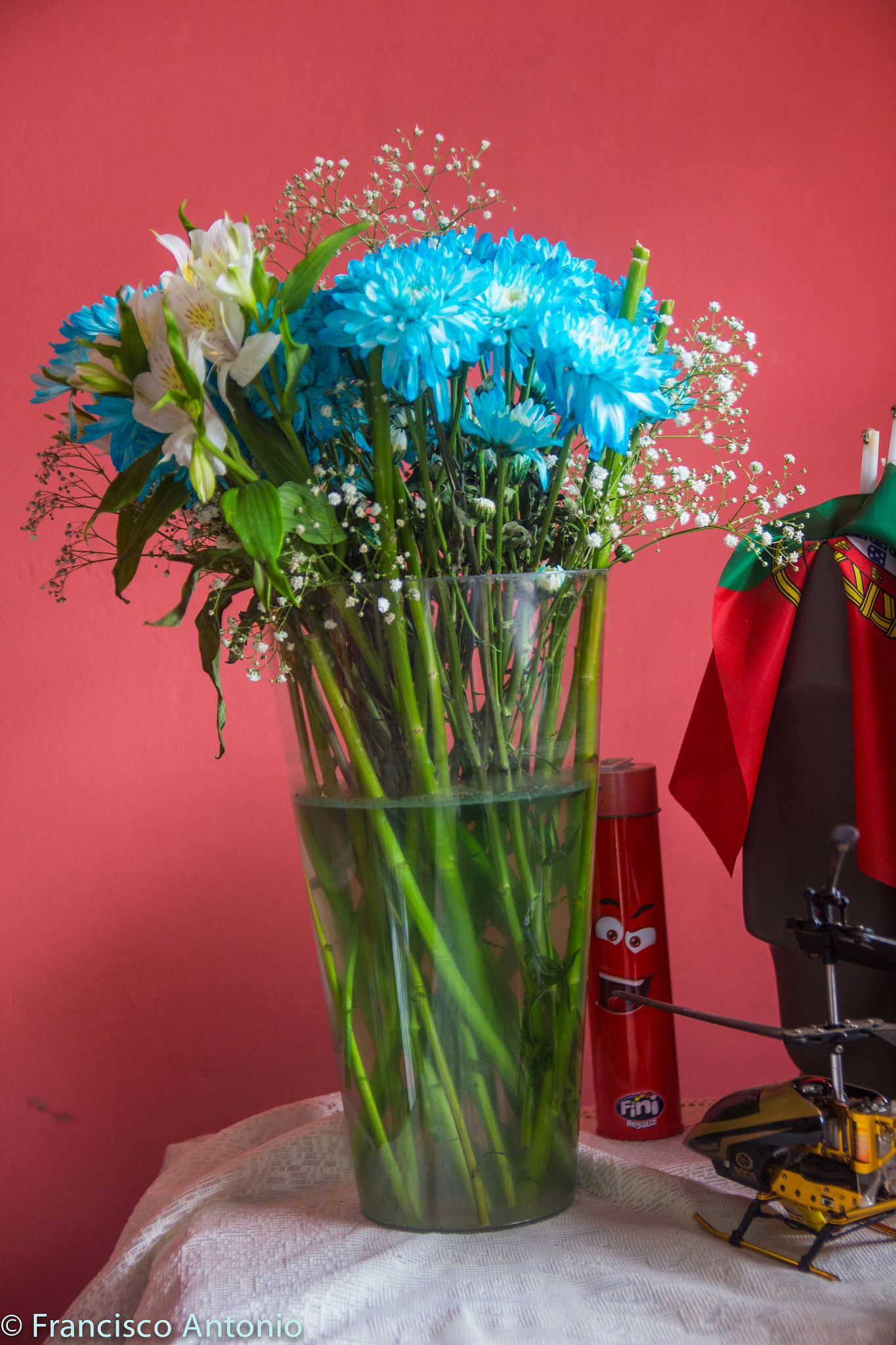 Canon EF-S 17-55mm F2.8 IS USM sample photo. Les belles fleurs photography