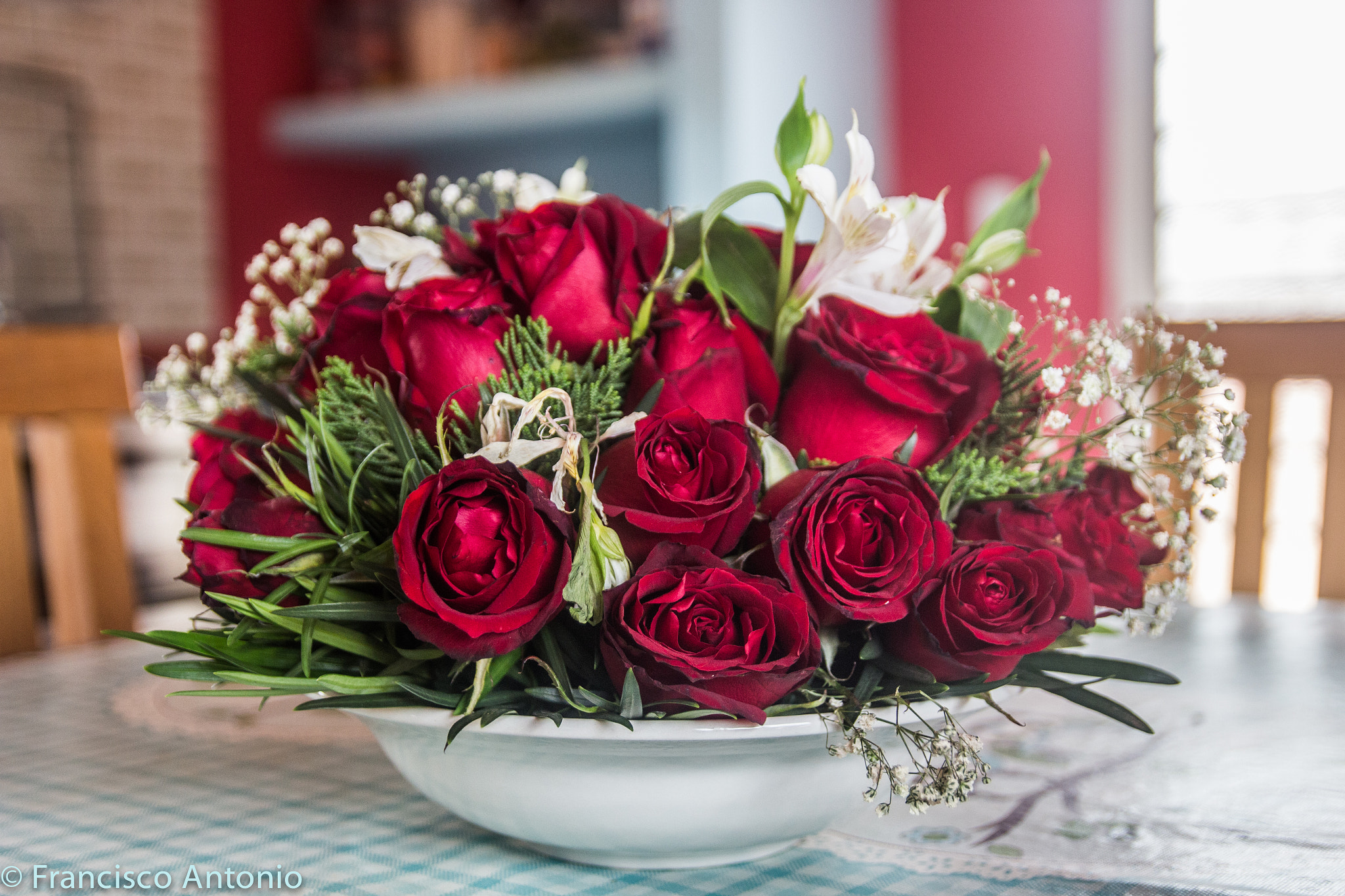 Canon EF-S 17-55mm F2.8 IS USM sample photo. Les belles fleurs photography