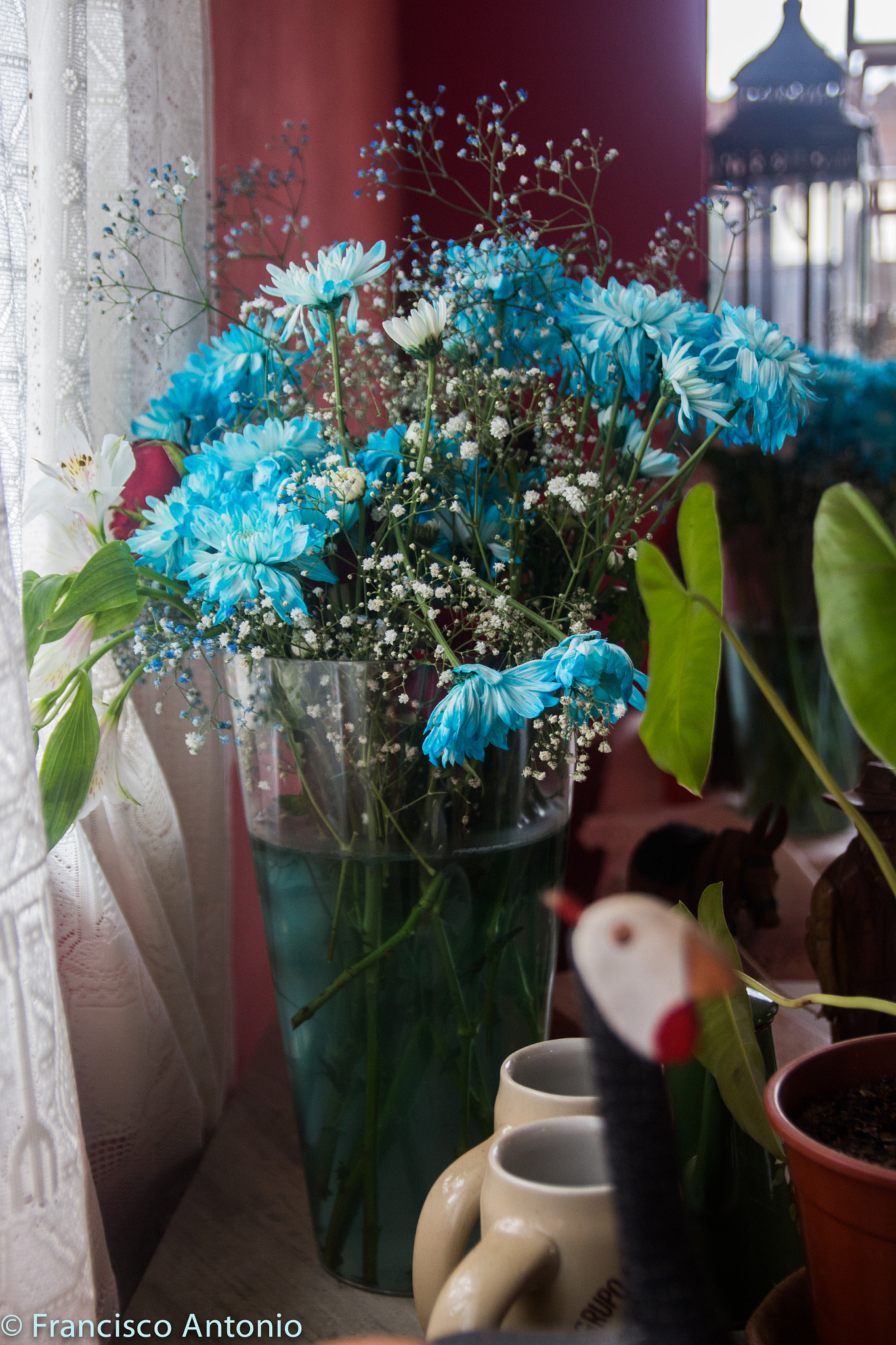 Canon EF-S 17-55mm F2.8 IS USM sample photo. Les belles fleurs photography