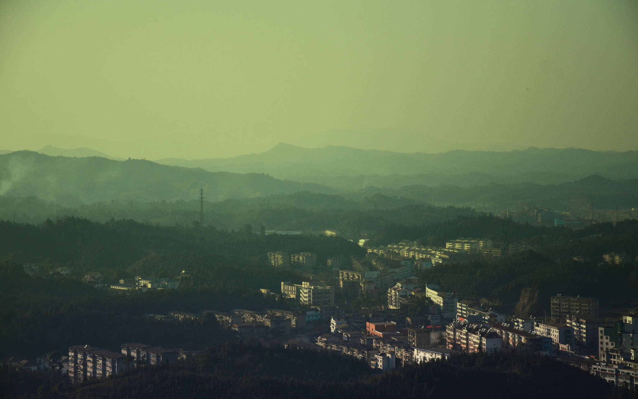 ZEISS Makro-Planar T* 50mm F2 sample photo. Home photography