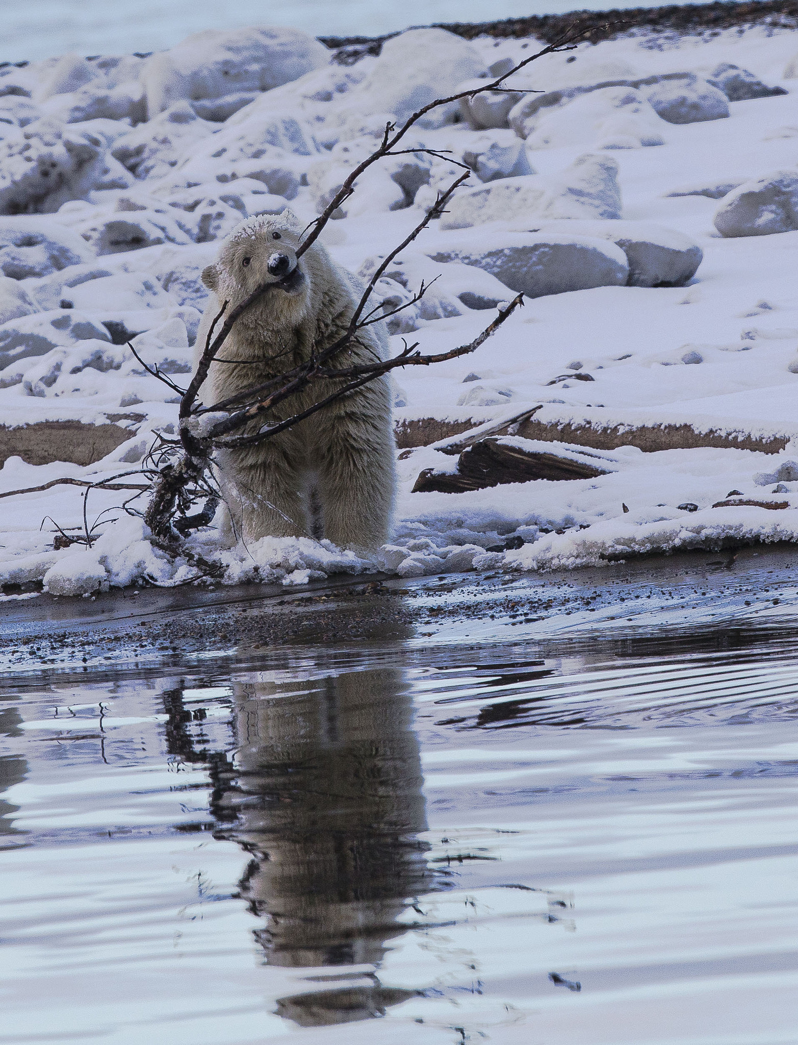 Canon EF 300mm F2.8L IS II USM sample photo