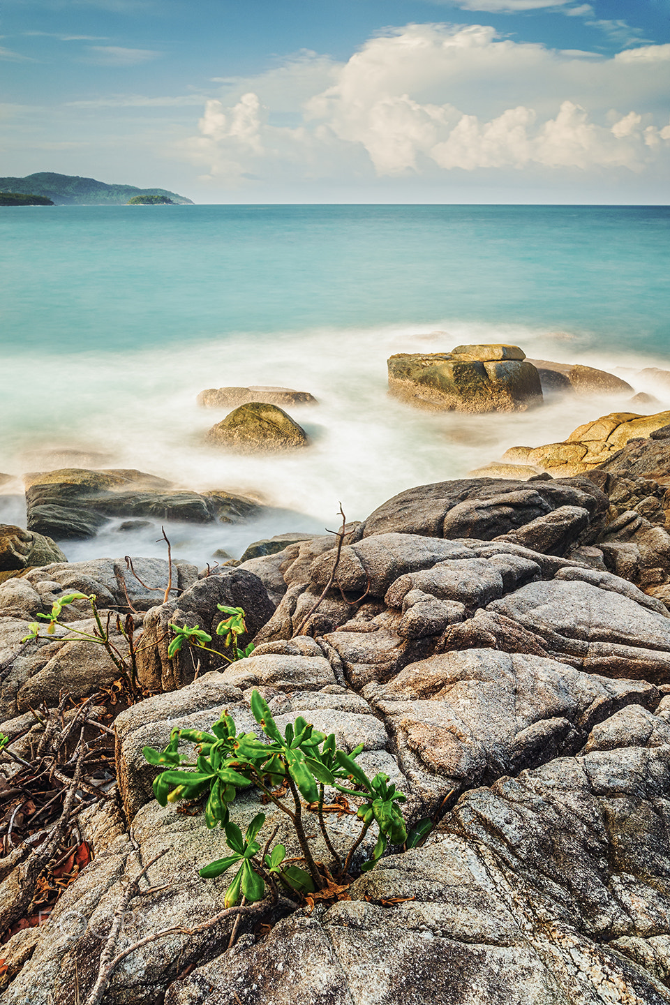 Sony Alpha a99 sample photo. The morning coast photography