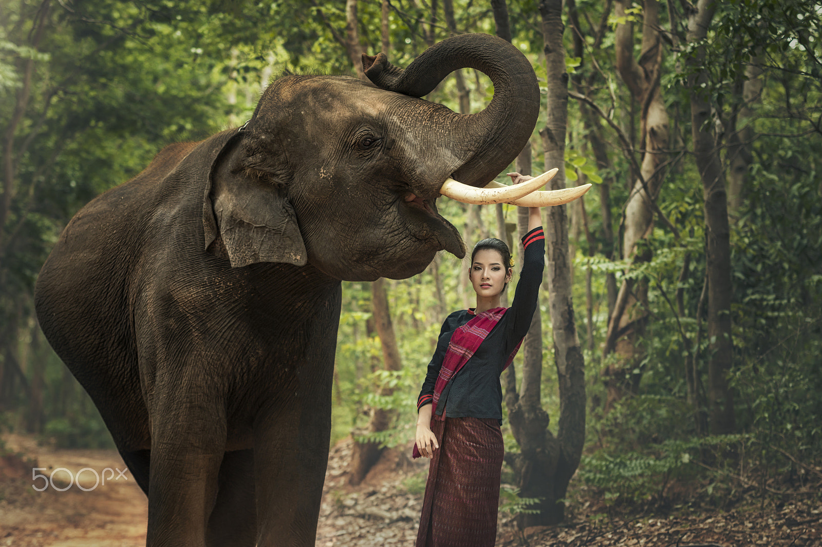 Canon EOS 70D + Sigma 70-200mm F2.8 EX DG OS HSM sample photo. Woman with elephant. photography
