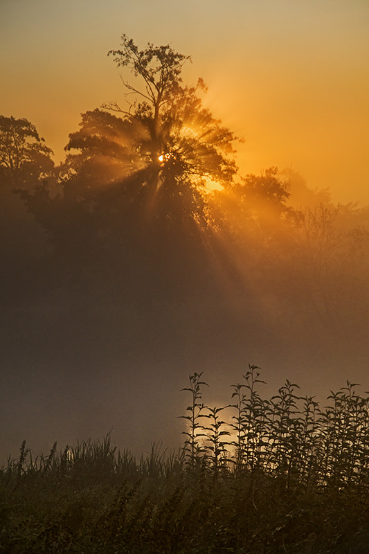 Sony SLT-A58 sample photo. Sunrise photography