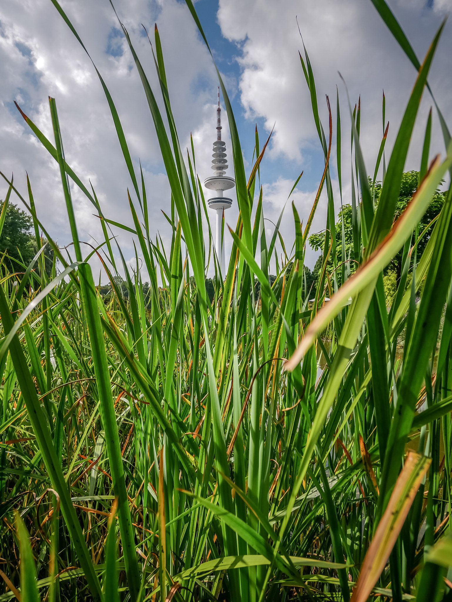 Panasonic Lumix G Vario 7-14mm F4 ASPH sample photo. Read between the lines photography