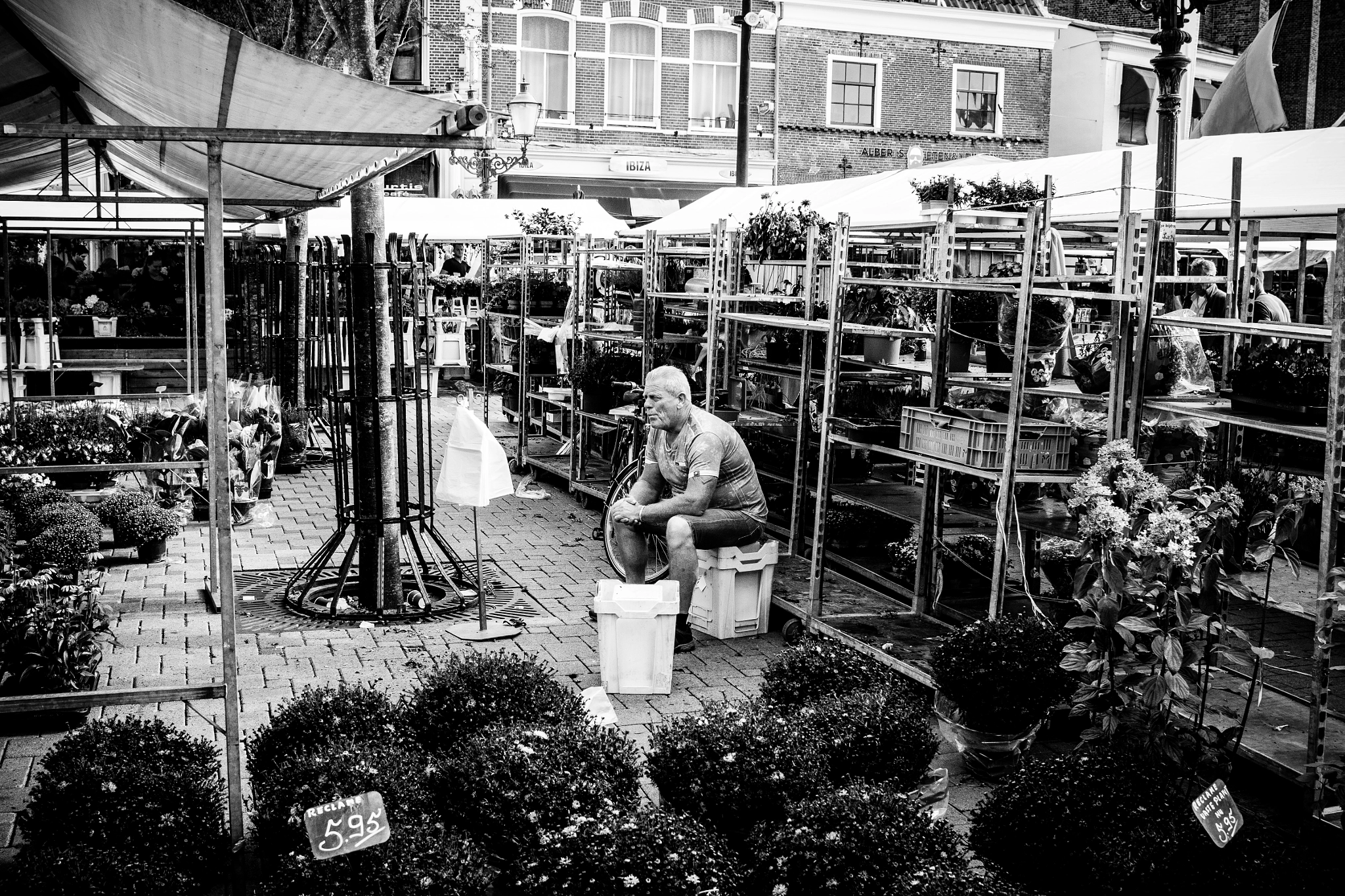 Canon EF-S 24mm F2.8 STM sample photo. Why is nobody buying my flowers? ~ amersfoort photography