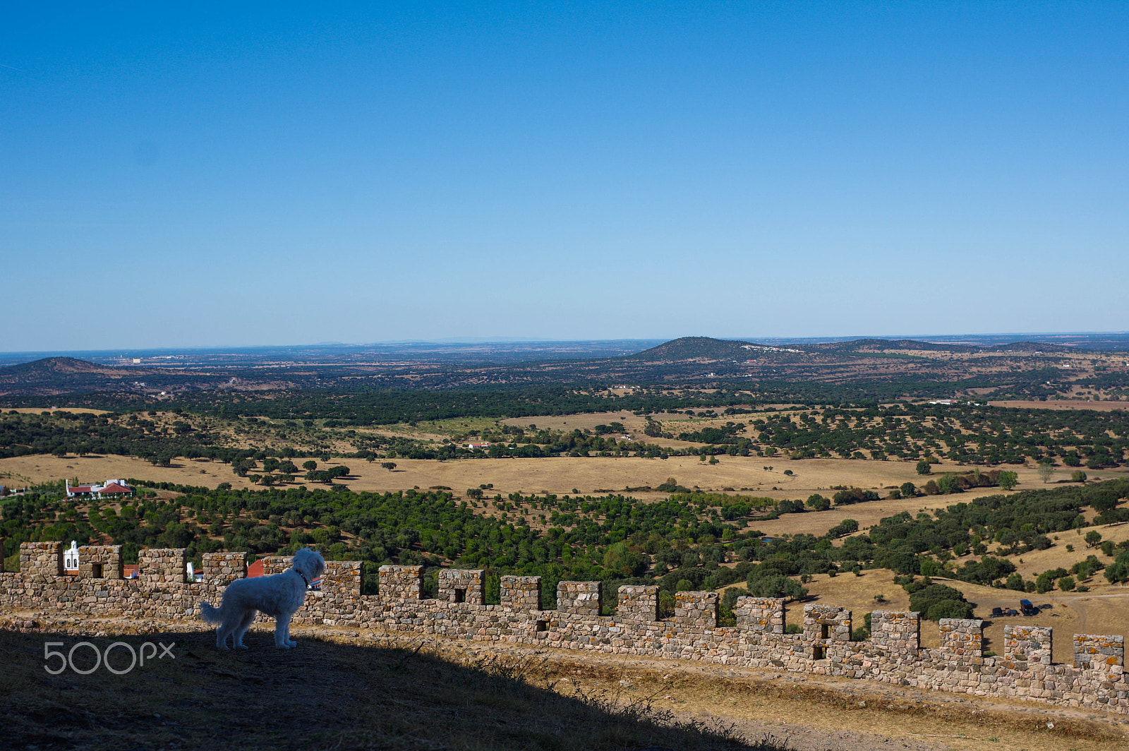 Pentax K-3 sample photo. Enjoying the view photography