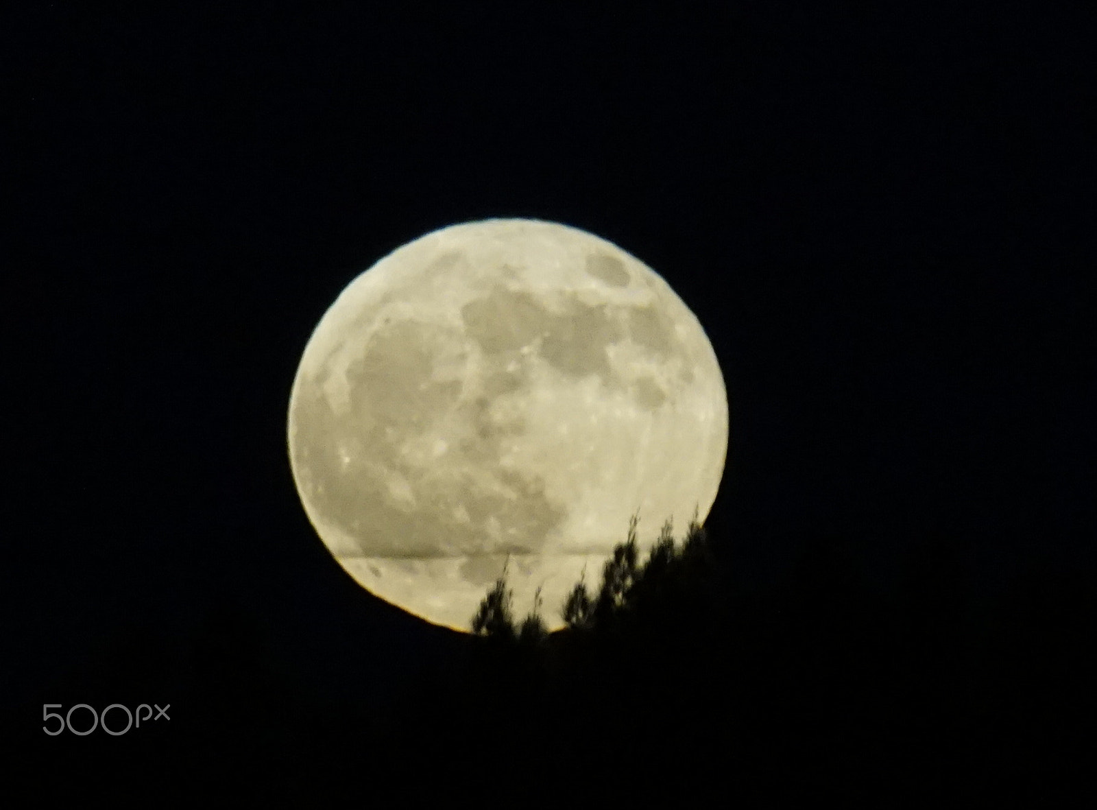 Sony DT 55-300mm F4.5-5.6 SAM sample photo. القمر من خلف الاشجار photography