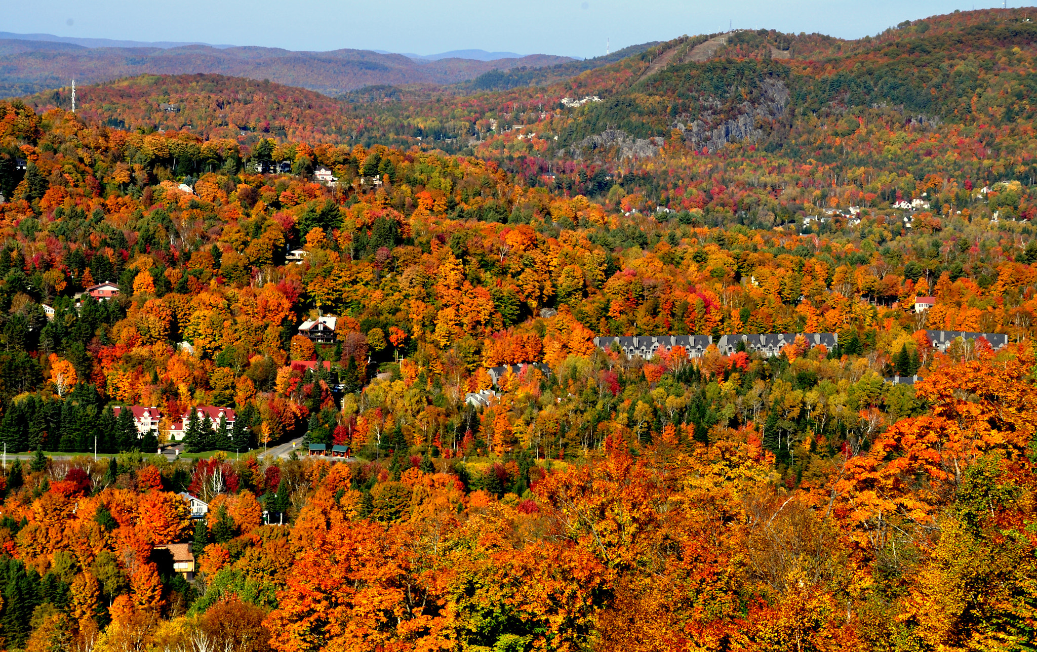 Nikon D5000 + Sigma 18-200mm F3.5-6.3 DC OS HSM sample photo. Fall is my favorite season! photography