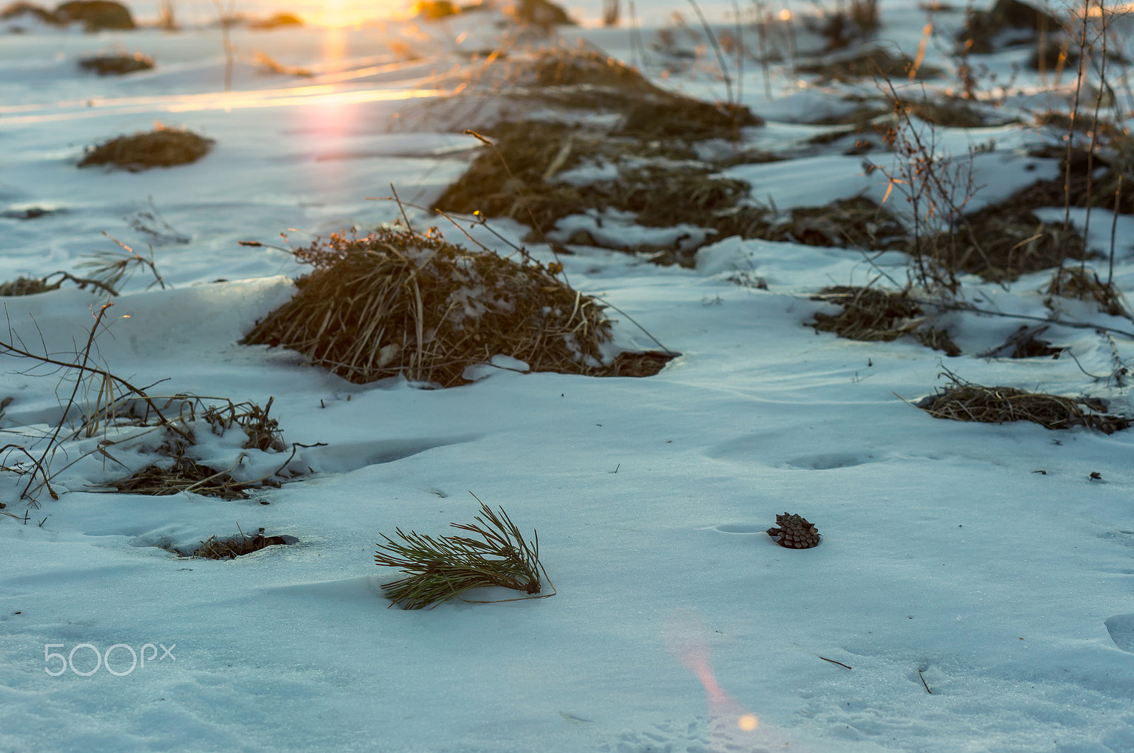 Sony Alpha NEX-5N + E 50mm F1.8 OSS sample photo. Glimpse of sunshine photography