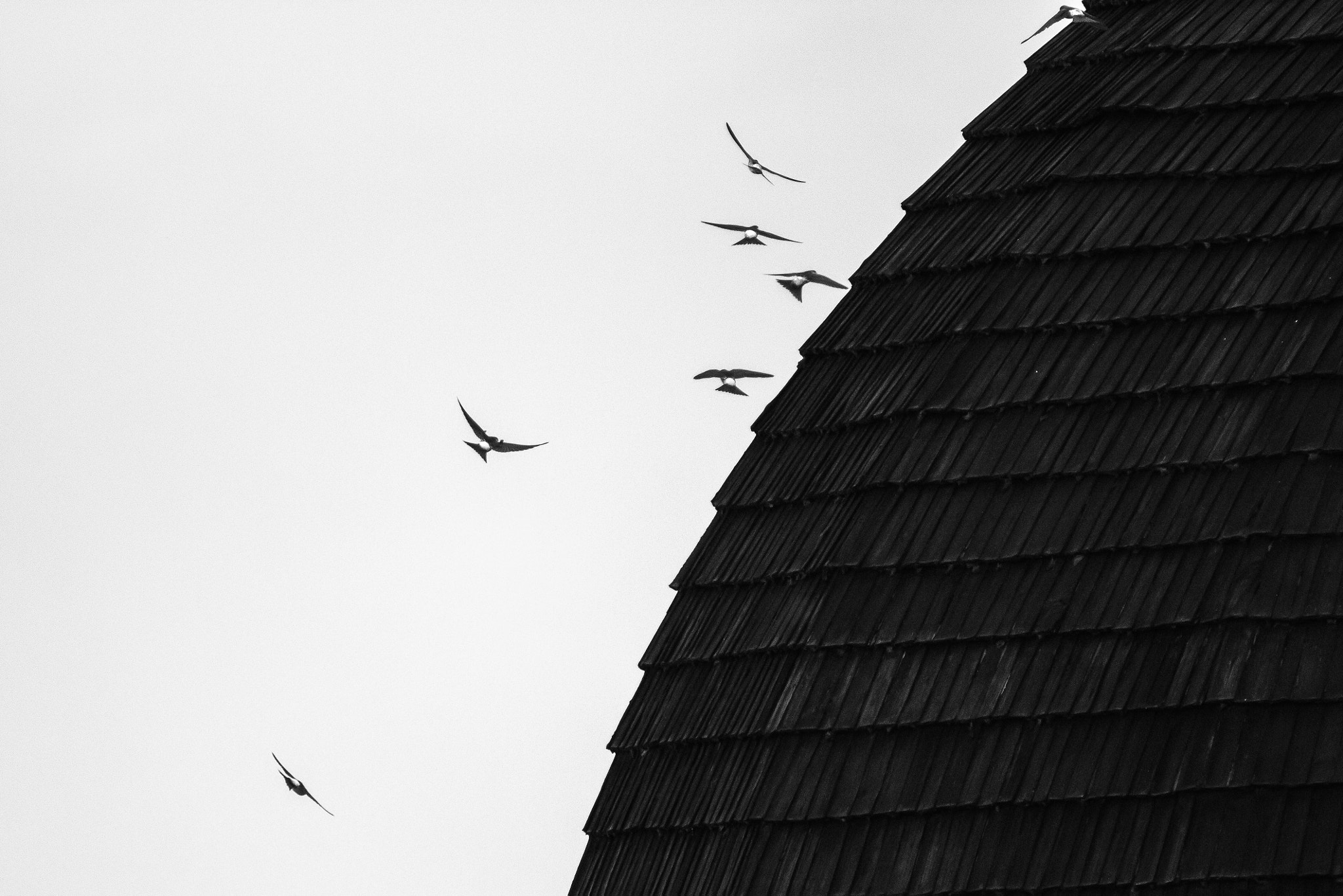 Tamron SP 150-600mm F5-6.3 Di VC USD sample photo. Slips around an old church photography