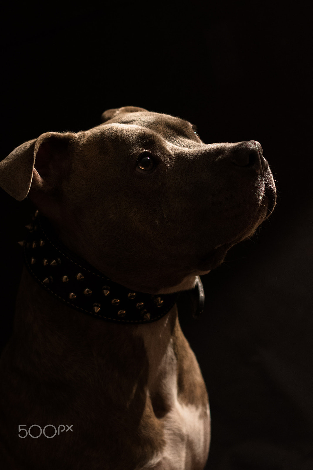 Canon EOS 760D (EOS Rebel T6s / EOS 8000D) sample photo. Beau photography