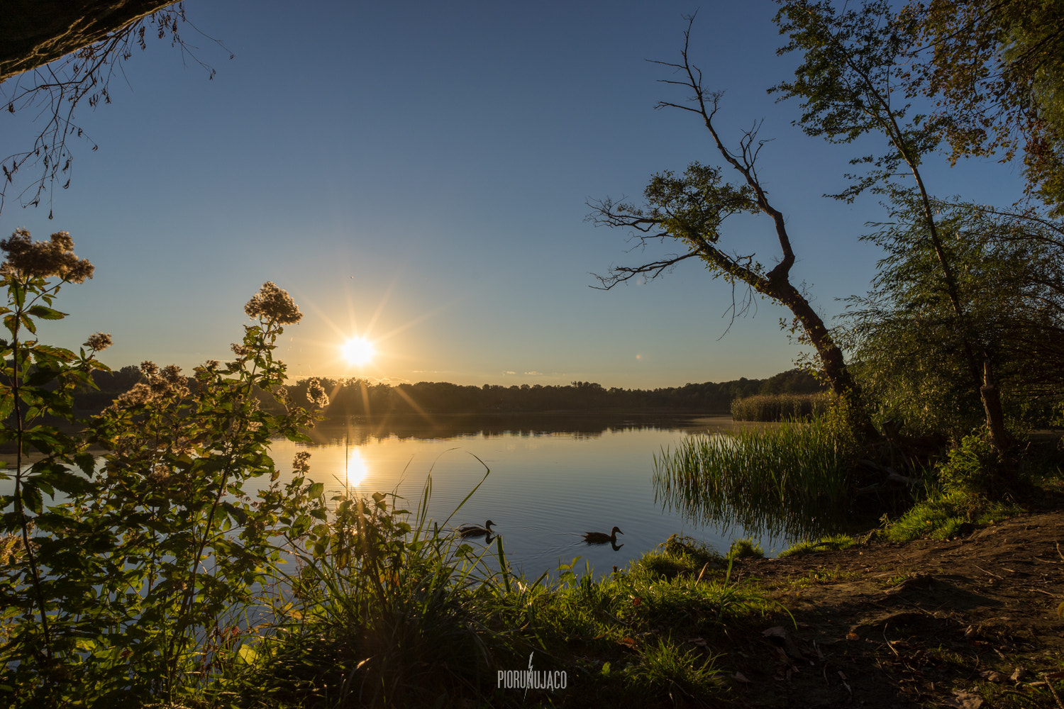 Sony a7 II + E 21mm F2.8 sample photo. 21 ix 2016 photography