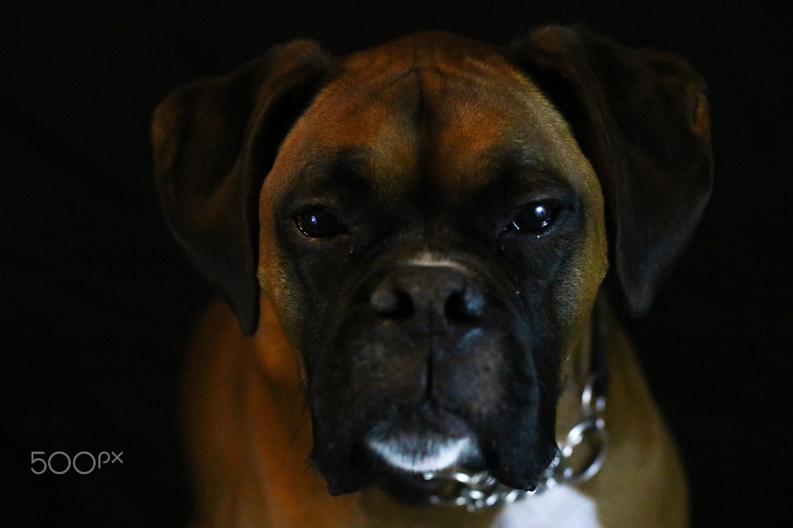 Canon EOS 760D (EOS Rebel T6s / EOS 8000D) sample photo. Jake photography