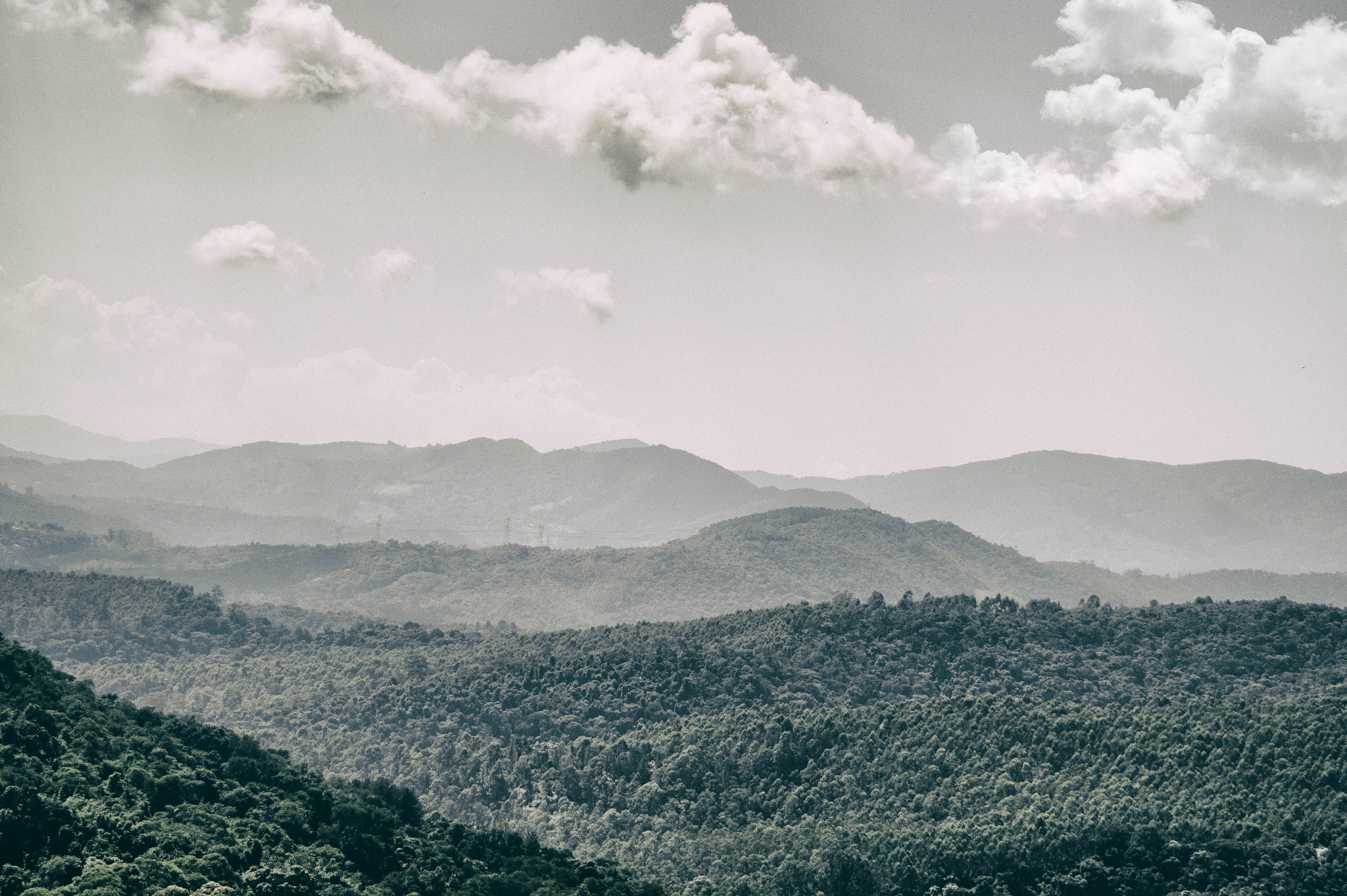 Sony 75-300mm F4.5-5.6 sample photo. Just nature photography