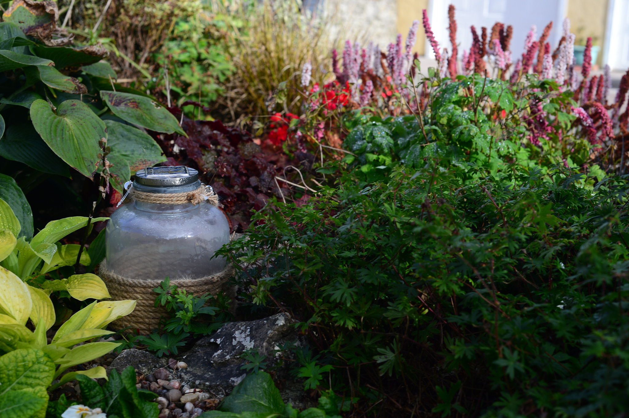 Nikon Df + AF Nikkor 50mm f/1.8 sample photo. Lamp in the garden photography