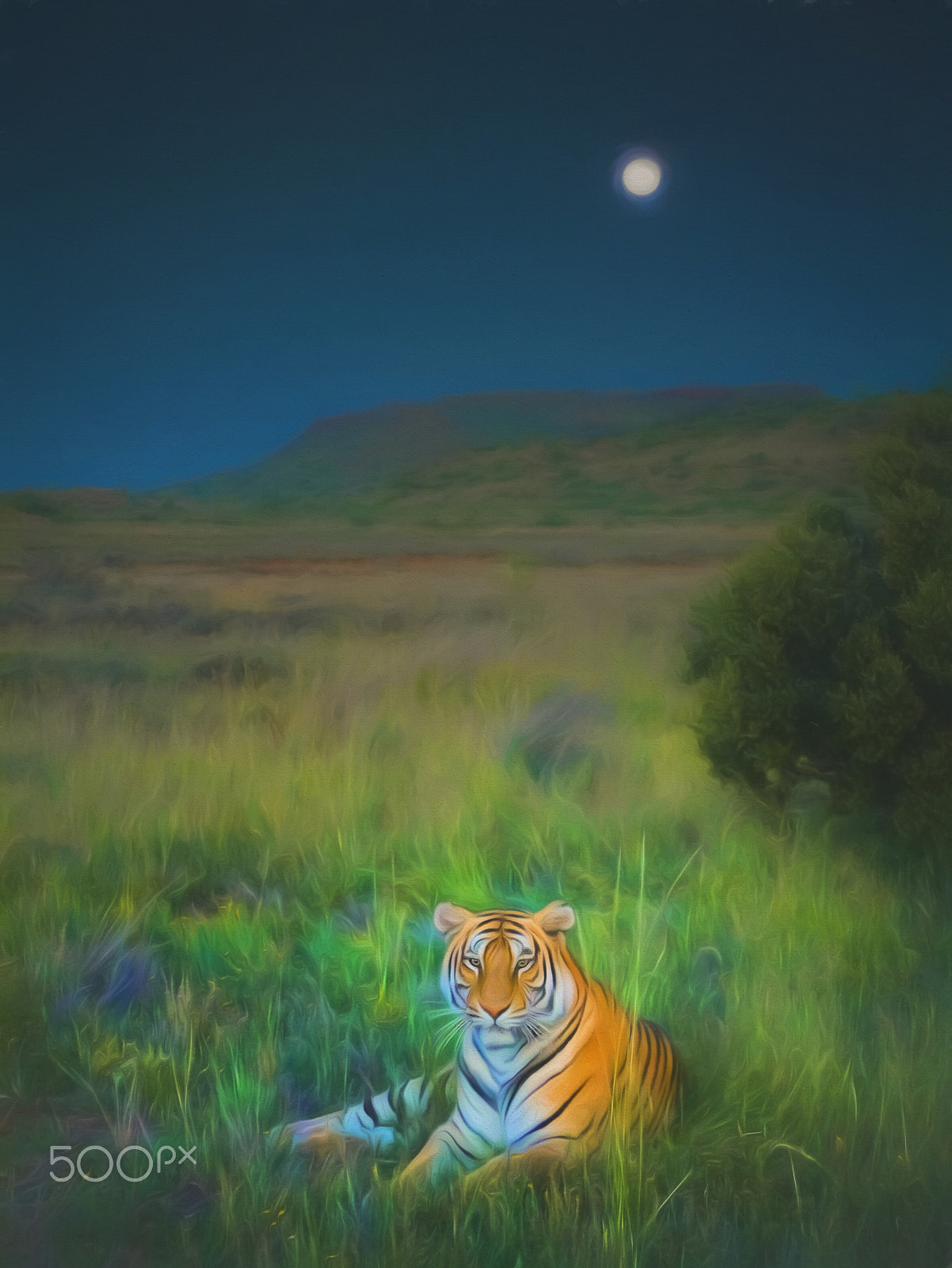 Panasonic Lumix G Vario 45-200mm F4-5.6 OIS sample photo. Tiger moon photography