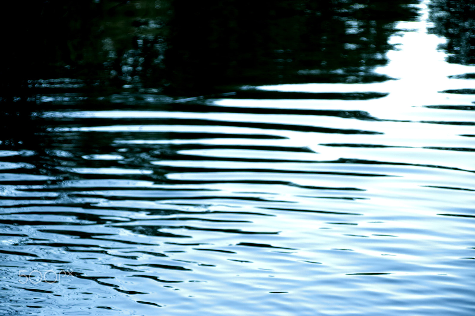 Canon EOS 760D (EOS Rebel T6s / EOS 8000D) + Canon TS-E 90mm F2.8 Tilt-Shift sample photo. Little lake in poland photography