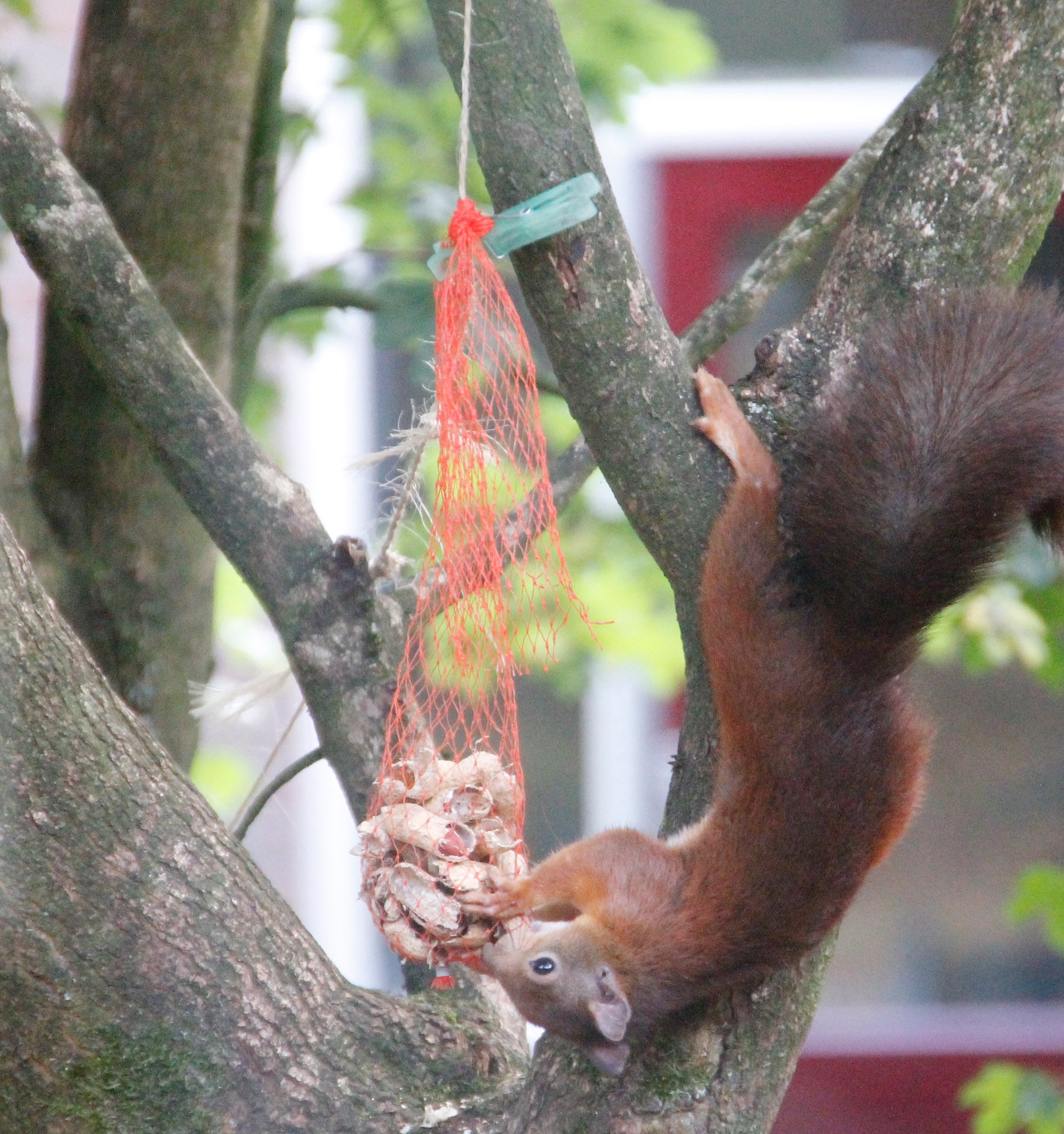 Canon 18-250mm sample photo