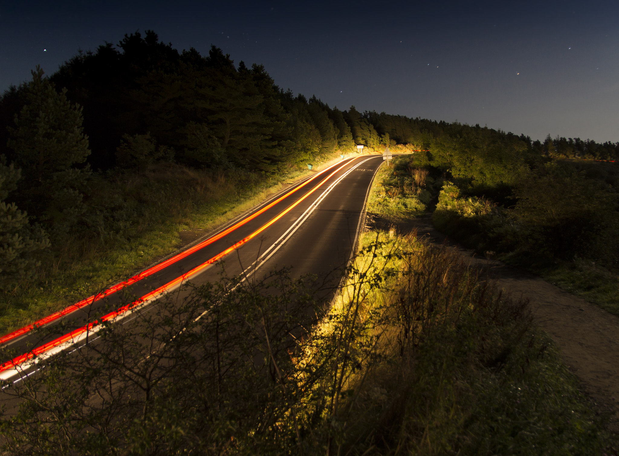 Canon EF-S 17-55mm F2.8 IS USM sample photo. Highway through the forest  photography