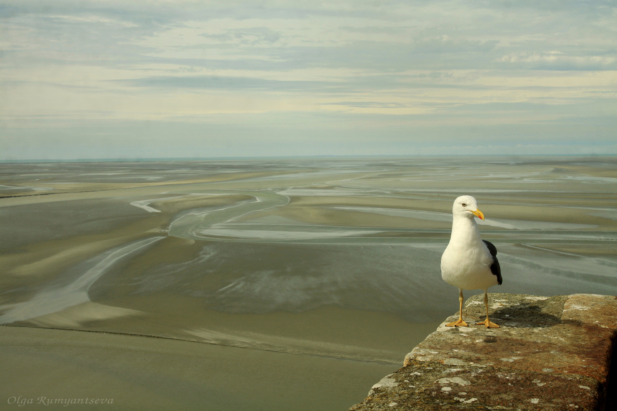 Canon EF 24-70mm F2.8L II USM sample photo. Mont-saint-michel. photography