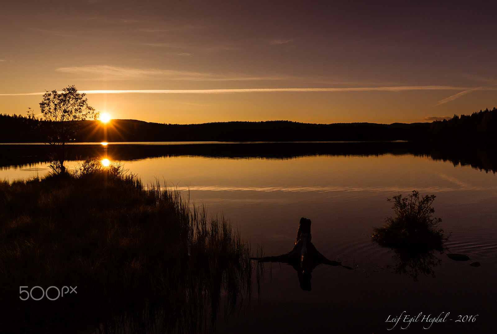 Canon EF 16-35mm F4L IS USM sample photo. Reflections photography