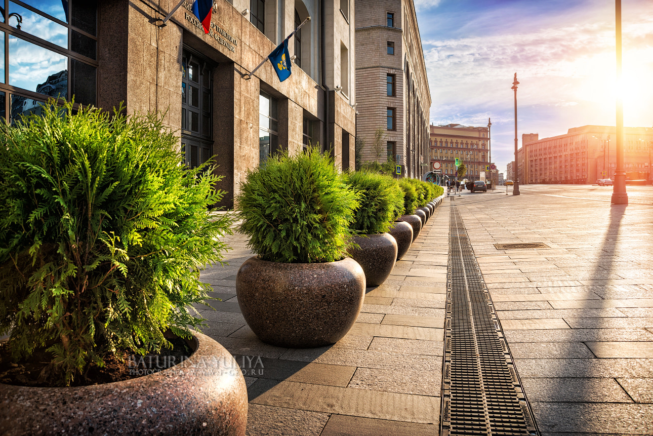 AF Zoom-Nikkor 28-70mm f/3.5-4.5D sample photo. City flower beds photography