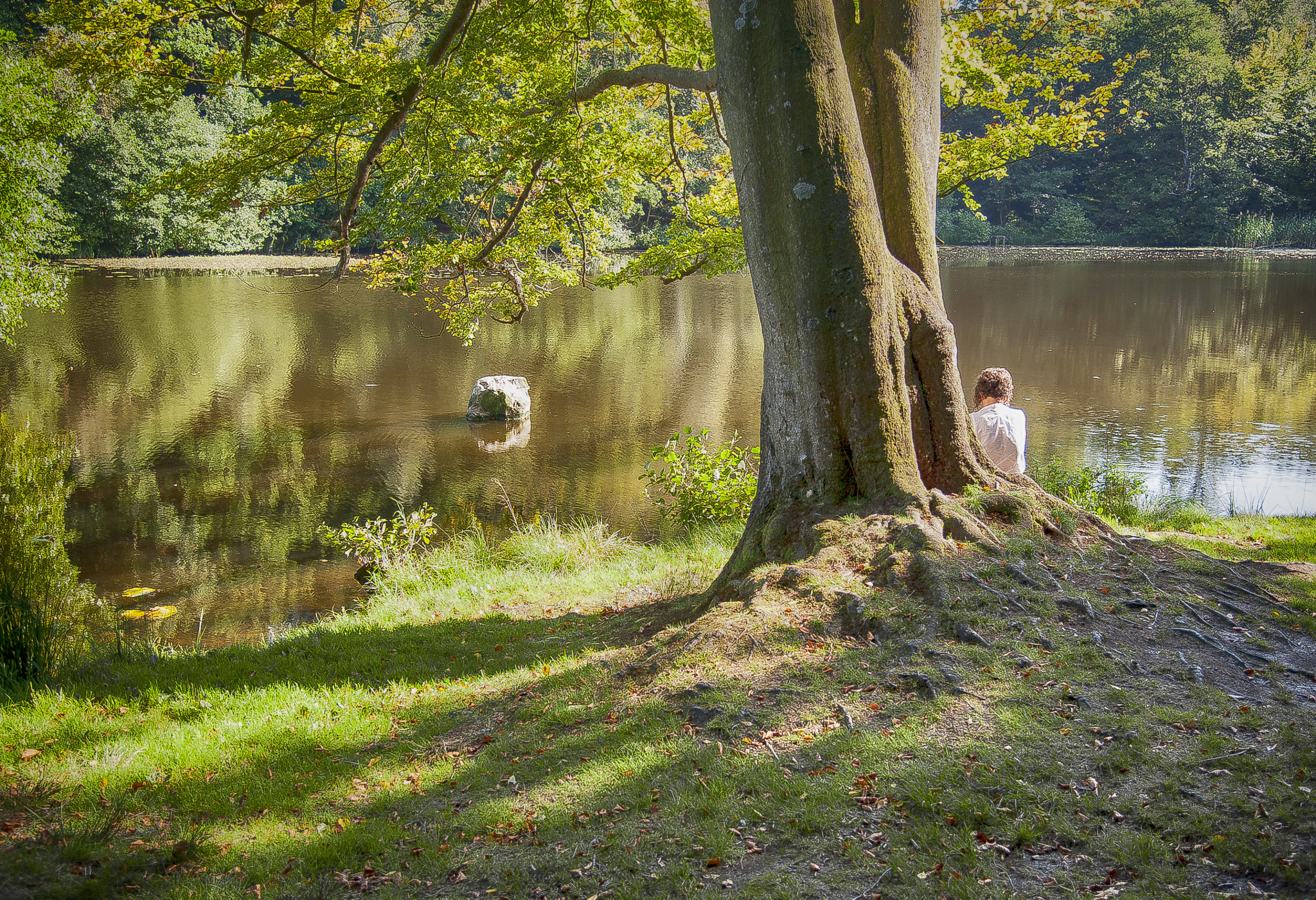 Nikon D3 sample photo. By the lake photography