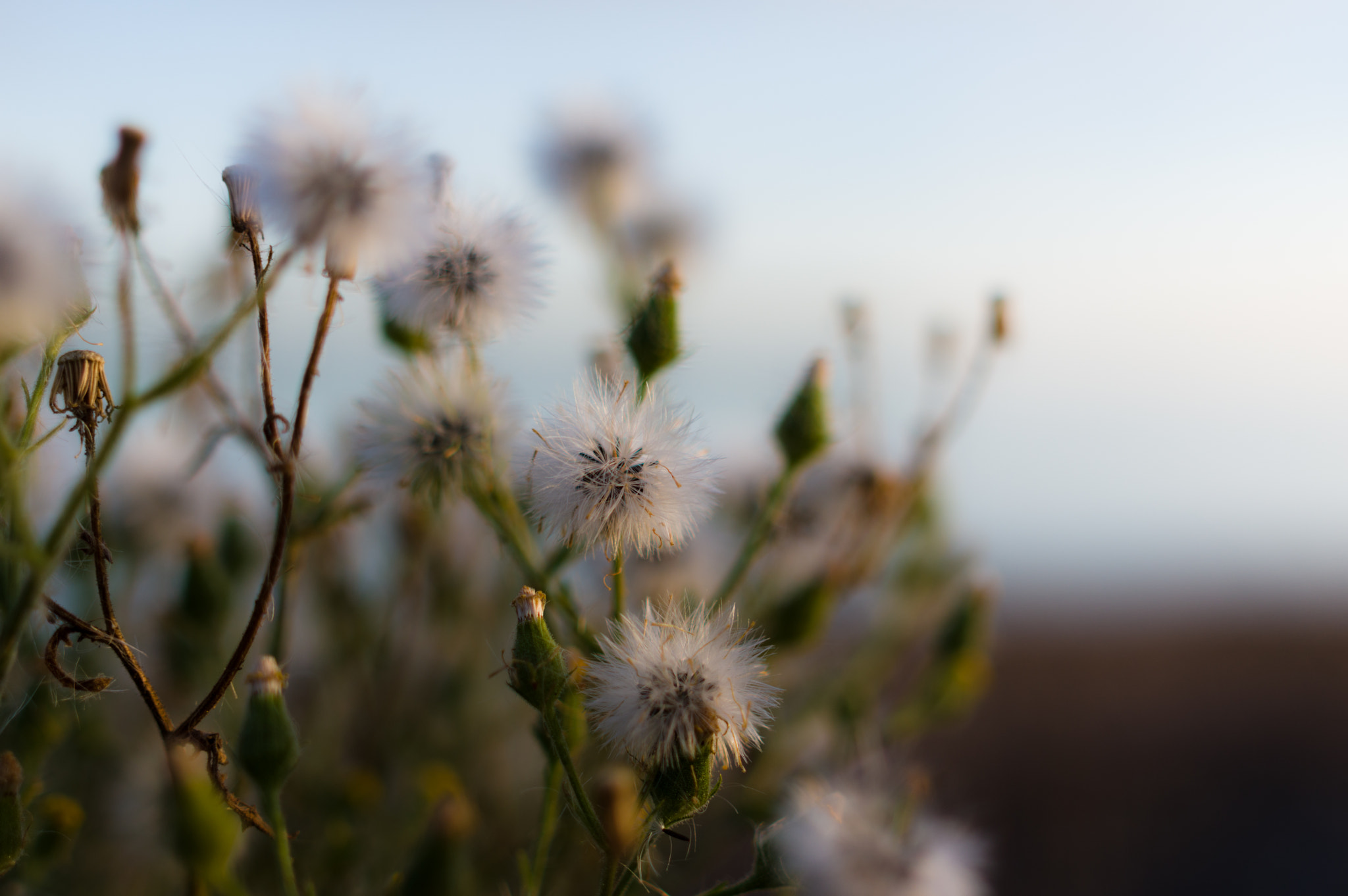 Pentax K-3 sample photo. Autumn is here... photography