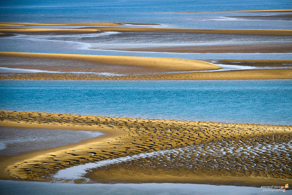 Sigma 150-500mm F5-6.3 DG OS HSM sample photo. Bancs de sable photography