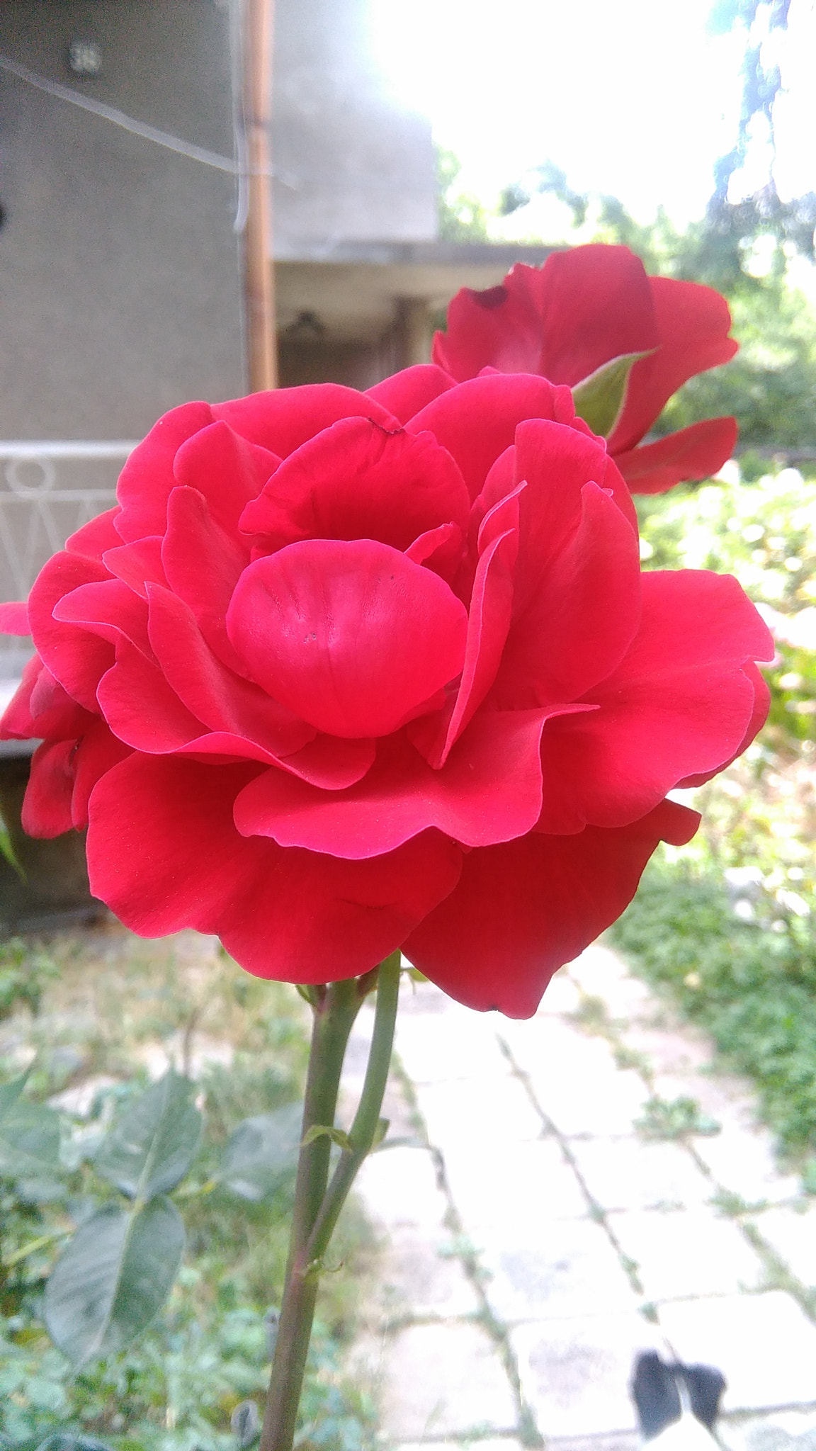 HUAWEI G620S-L01 sample photo